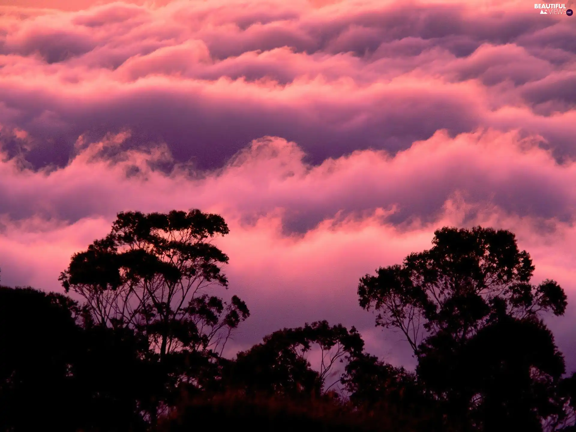 west, purple, clouds, sun