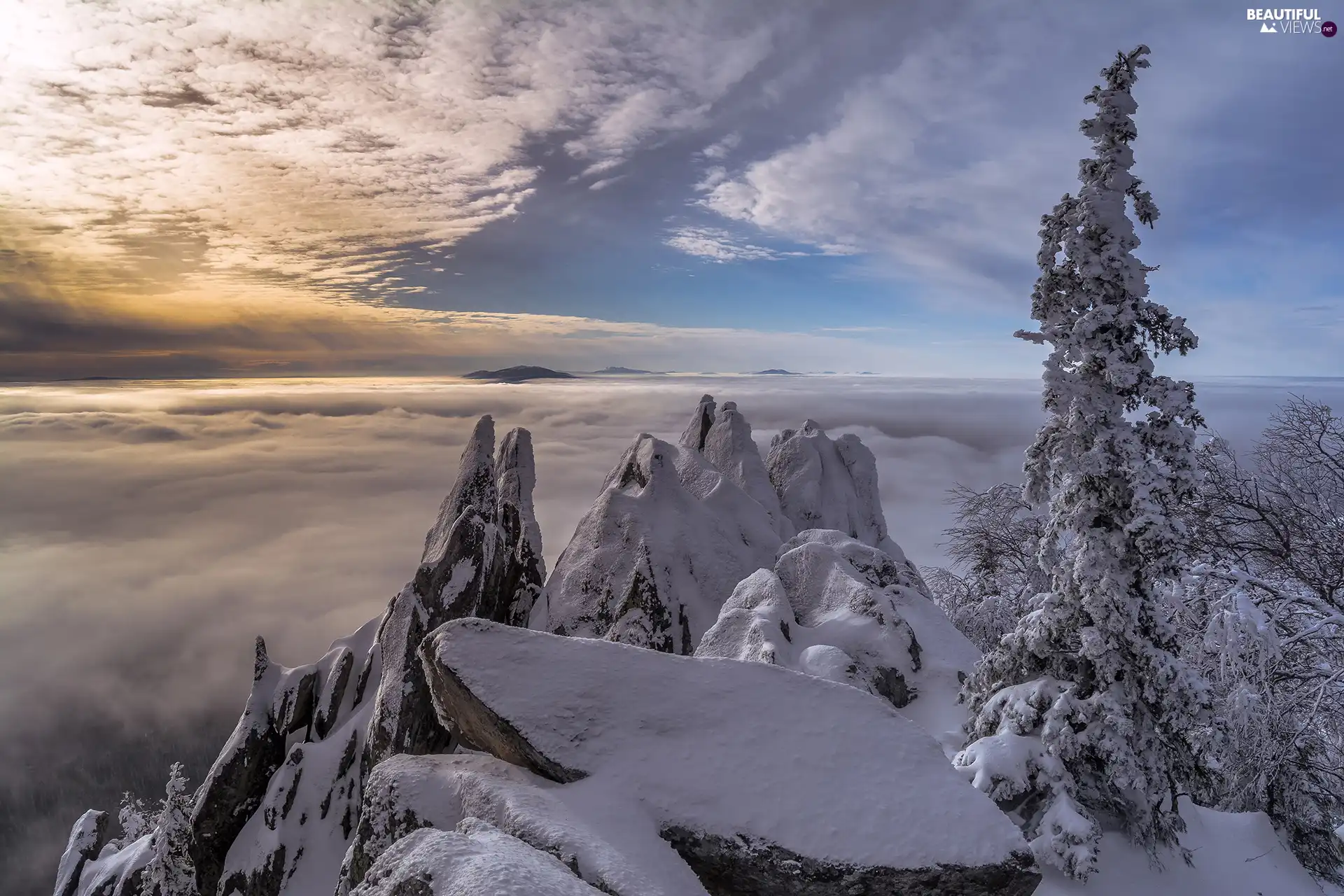 rocks, trees, winter, viewes, Fog, Snowy, Mountains, clouds
