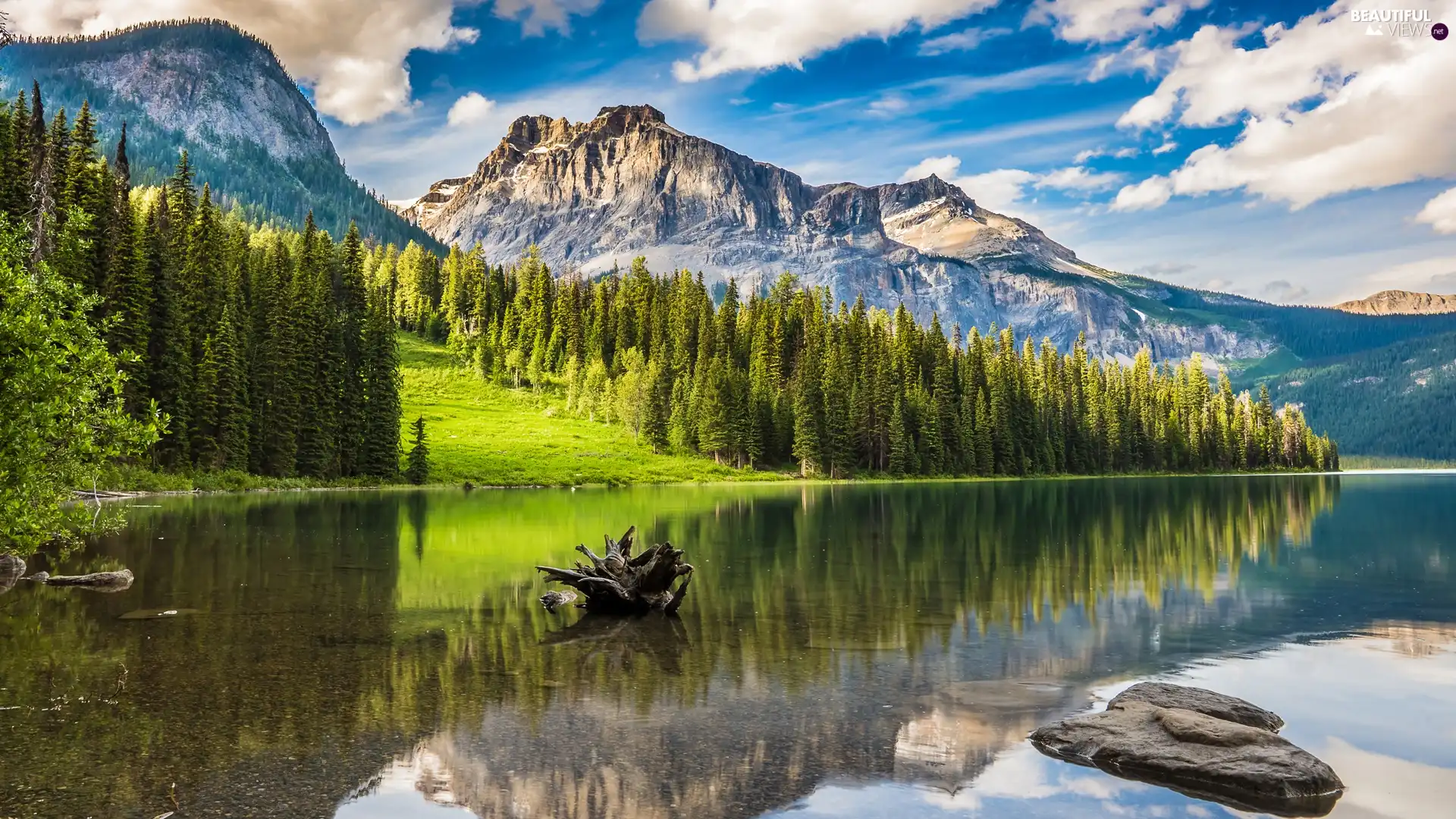 trees, lake, woods, green ones, Mountains, viewes, clouds