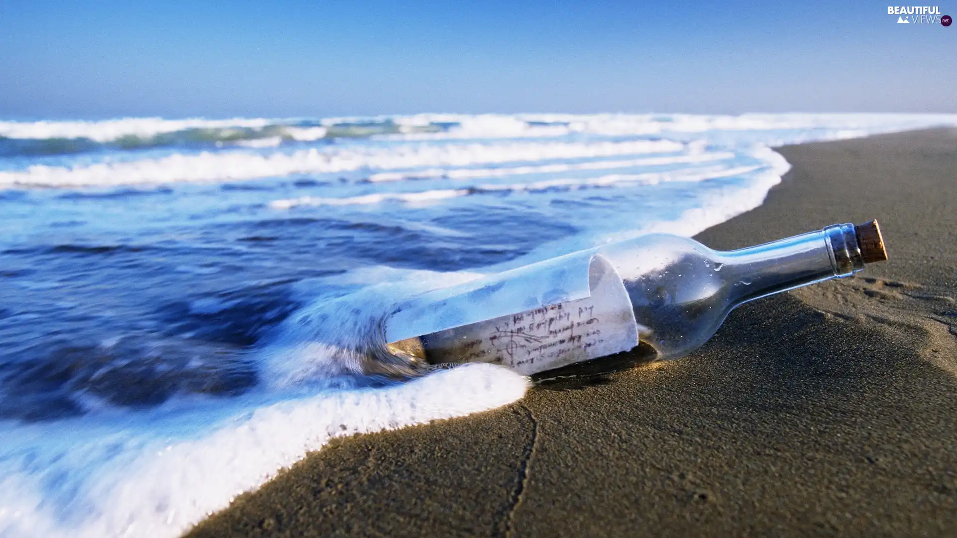 Bottle, Coast