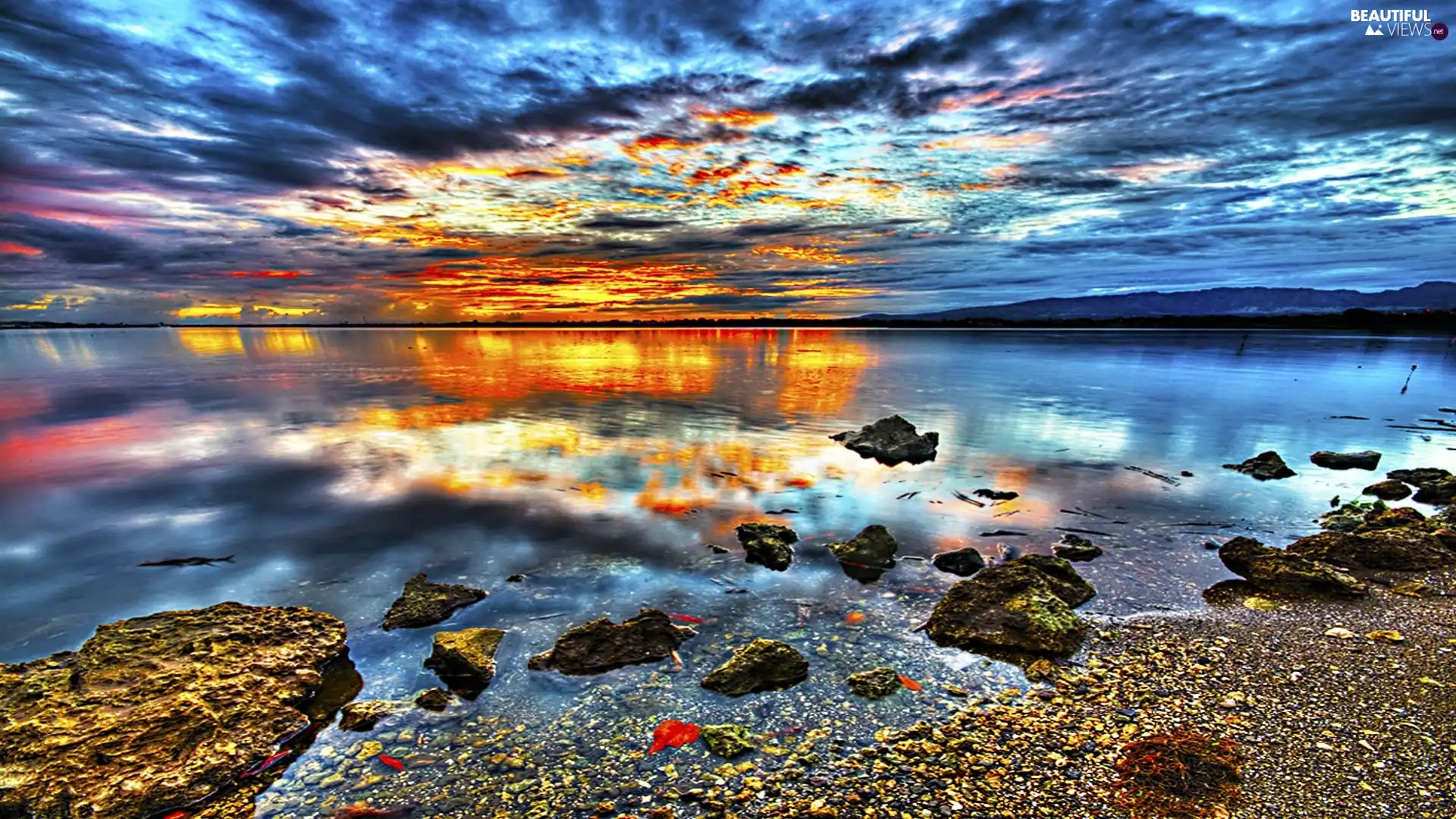 lake, Coast
