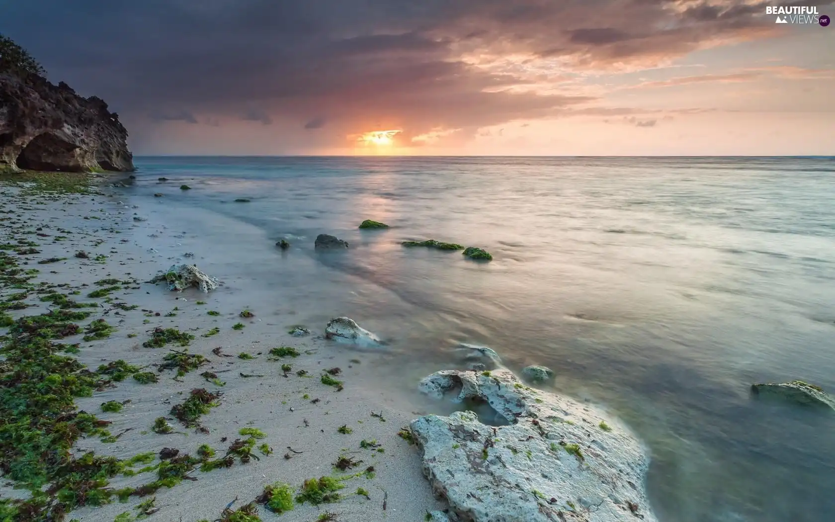 coast, Plants, west, sun, sea