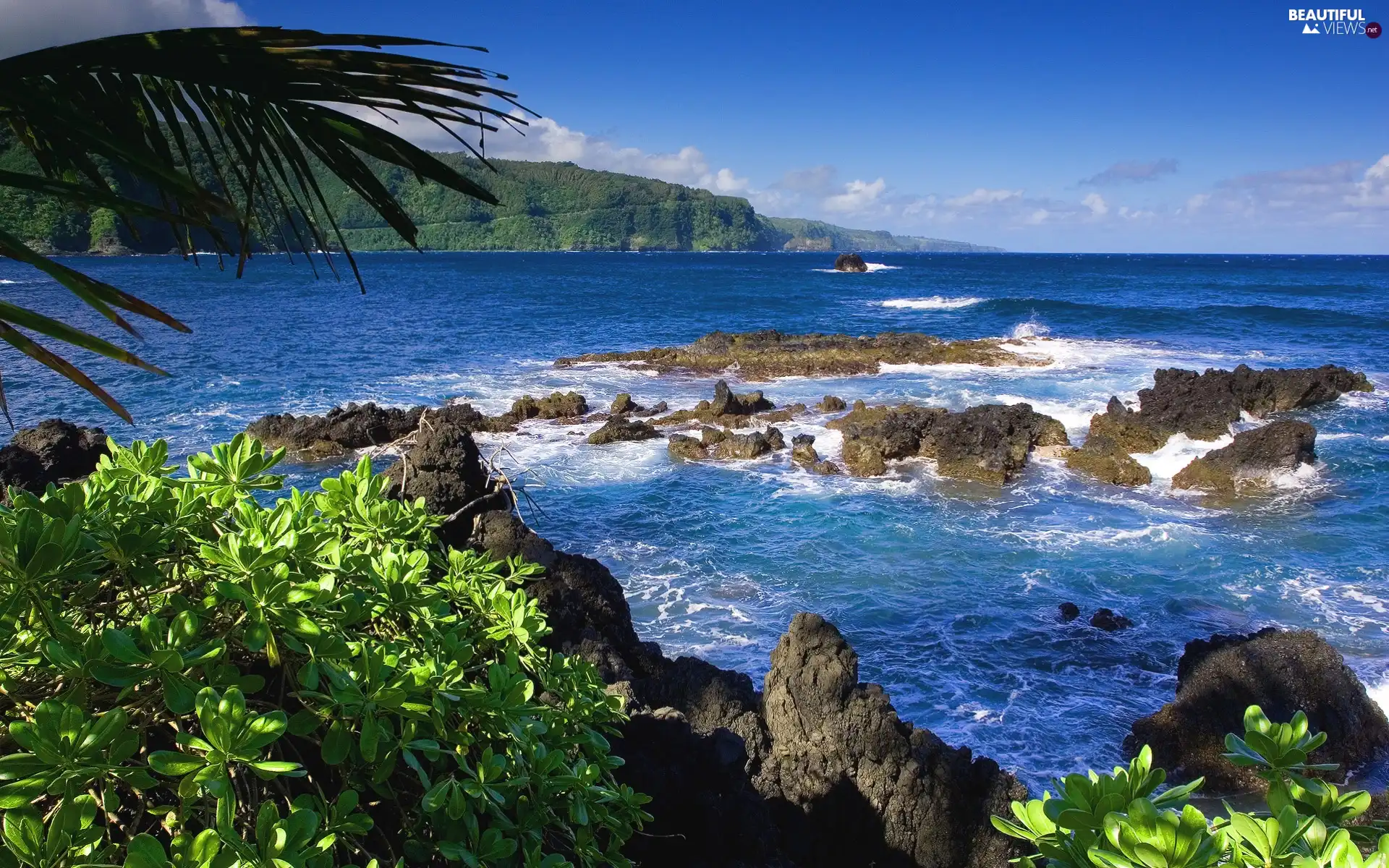 Coast, sea, Rocks