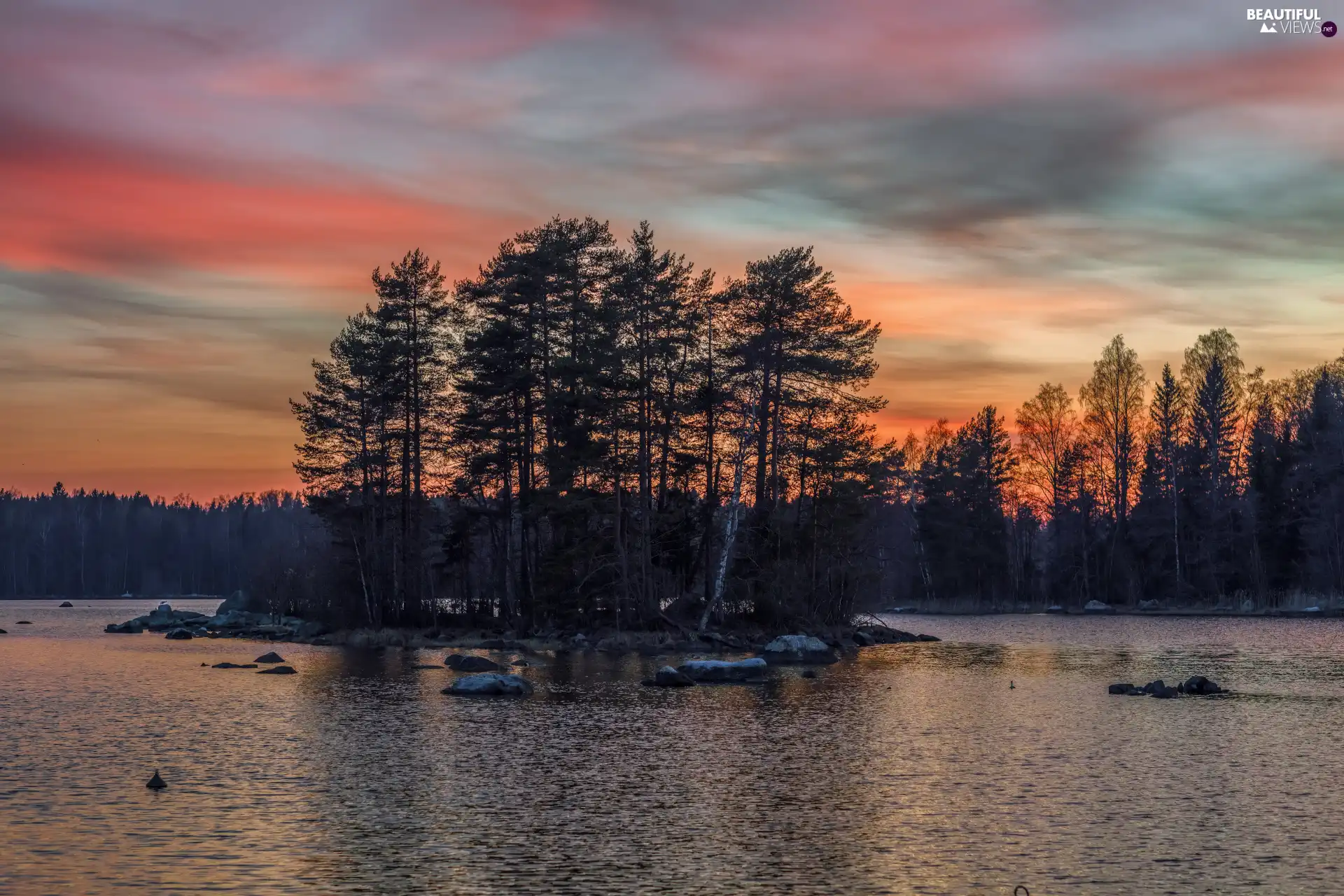 trees, viewes, River, coast, Great Sunsets