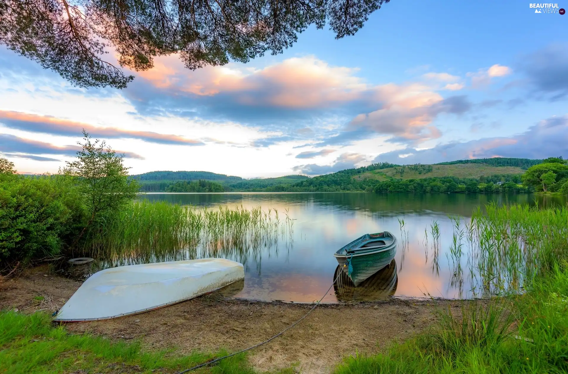 viewes, lake, boats, coast, grass, trees