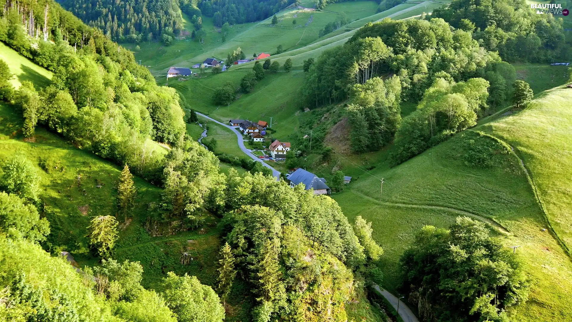 colony, Way, woods, medows, Mountains