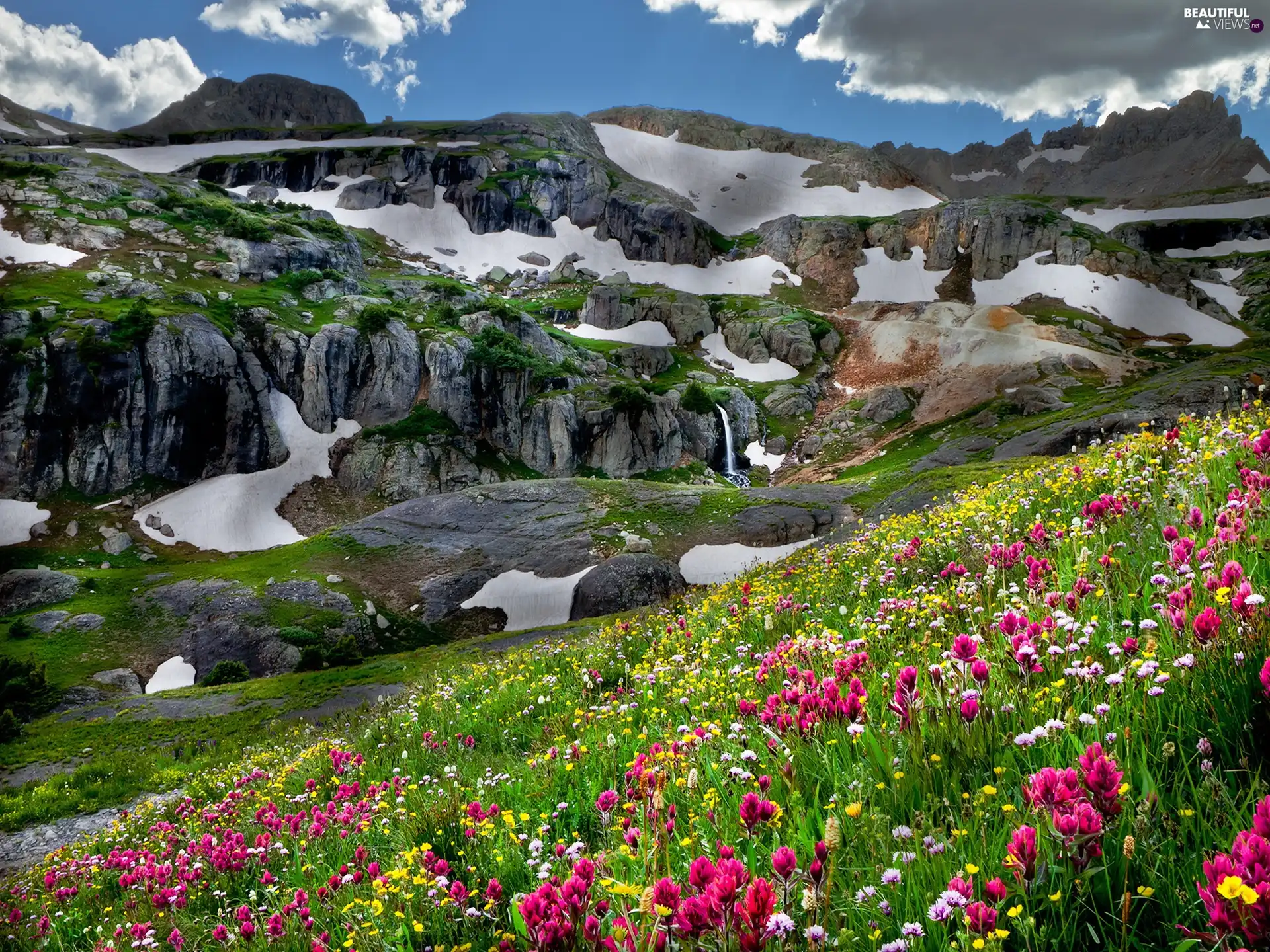 color, Flowers, rocks, Meadow, Mountains