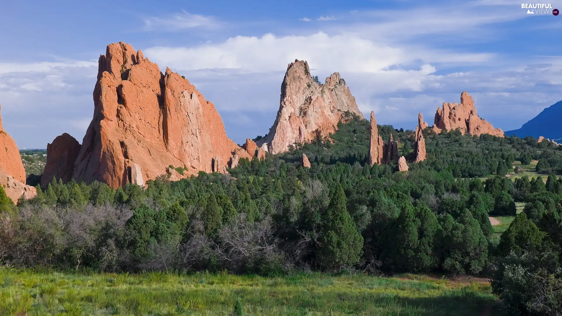 rocks, viewes, Colorado, trees