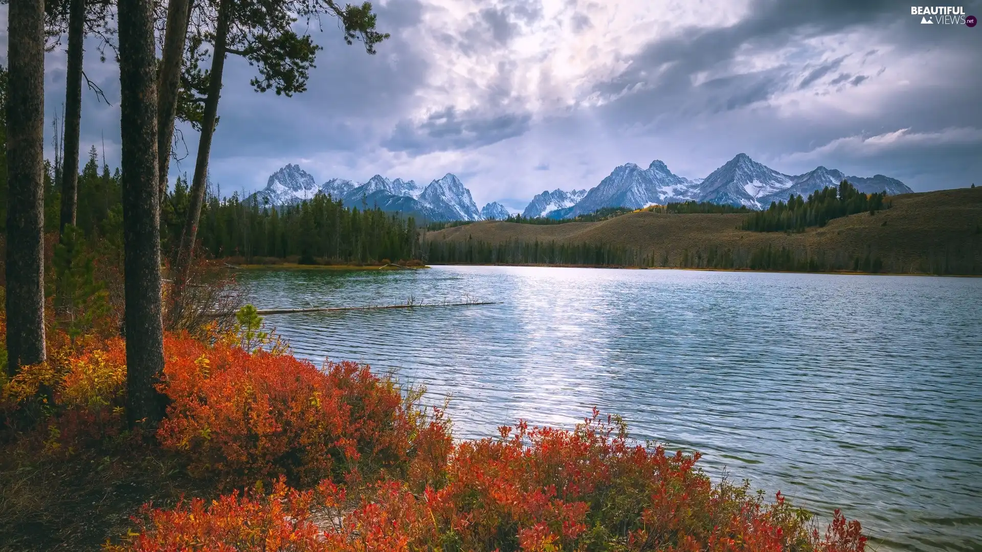 forest, trees, clouds, viewes, VEGETATION, lake, Mountains, Coloured