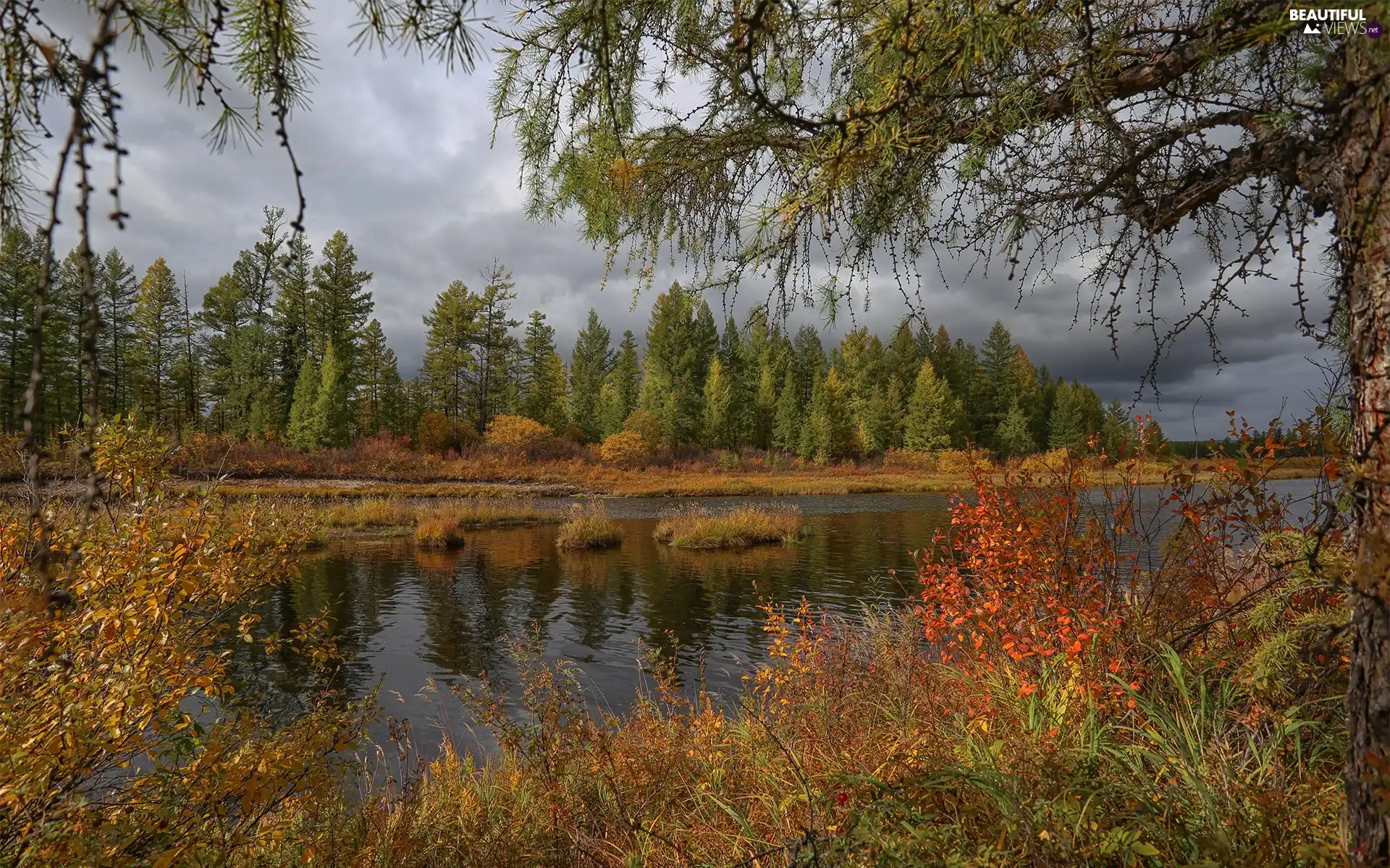 trees, viewes, clouds, Bush, VEGETATION, River, autumn, Coloured