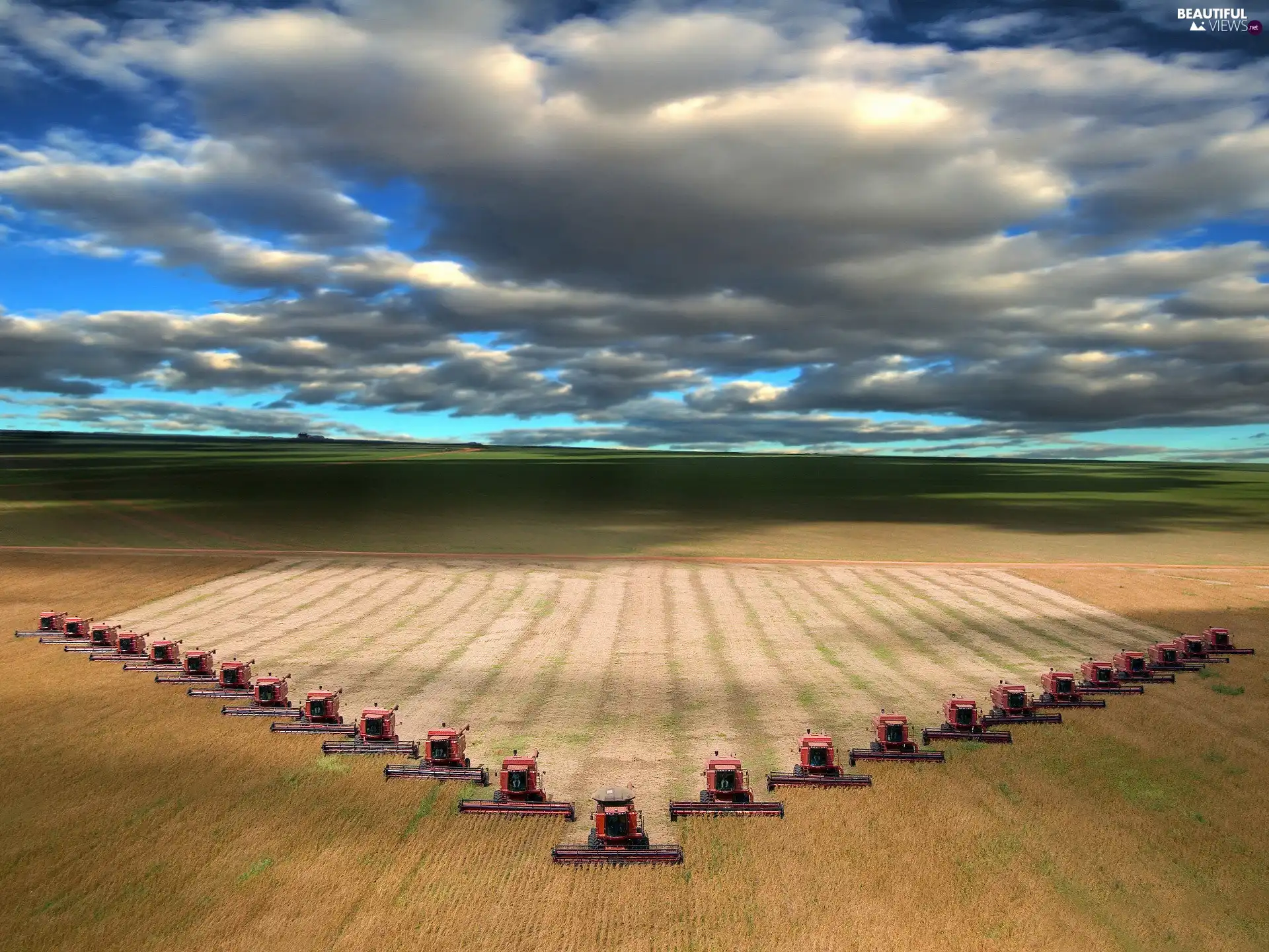 combines, Field, cereals