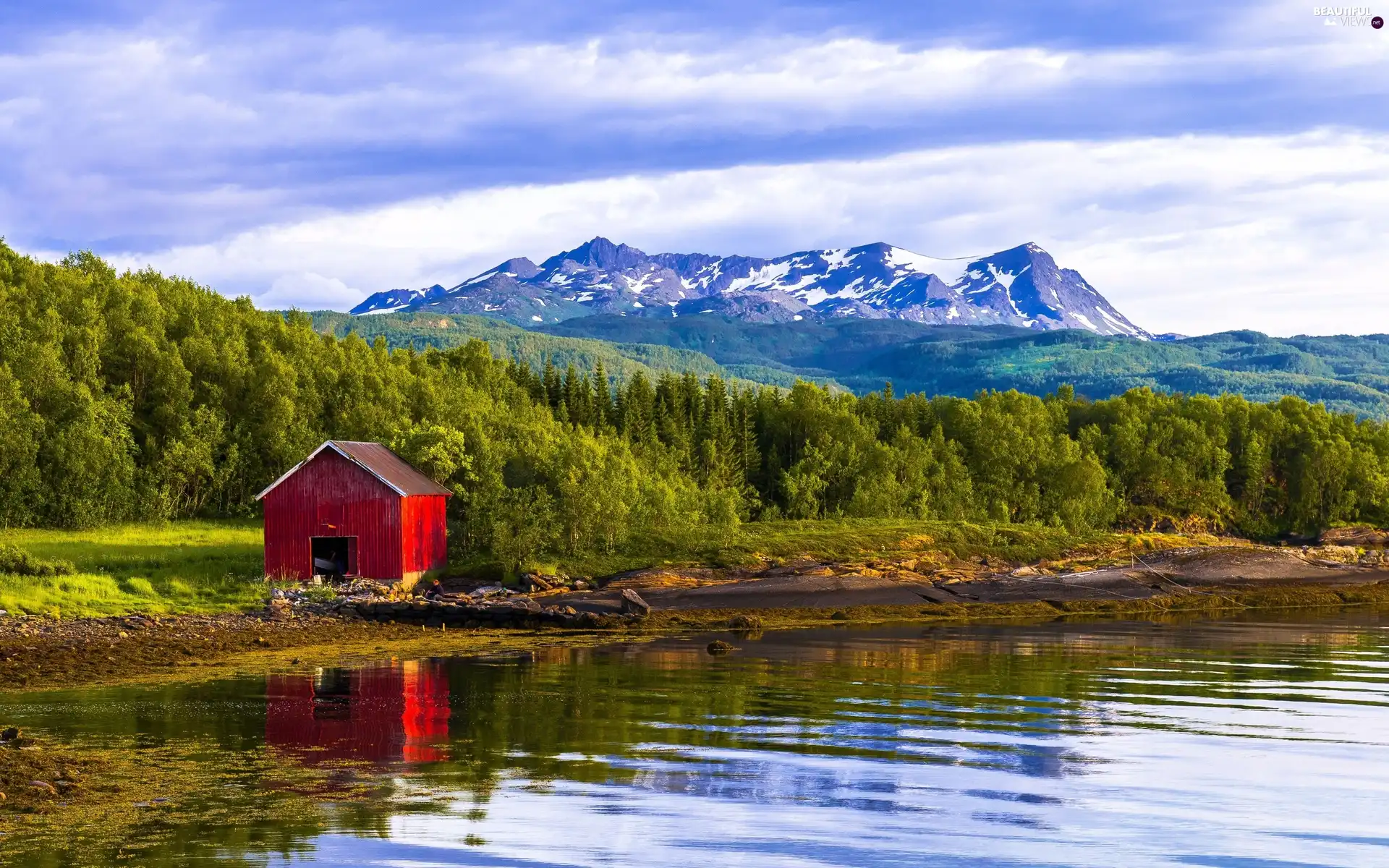 River, woods, cote, Mountains