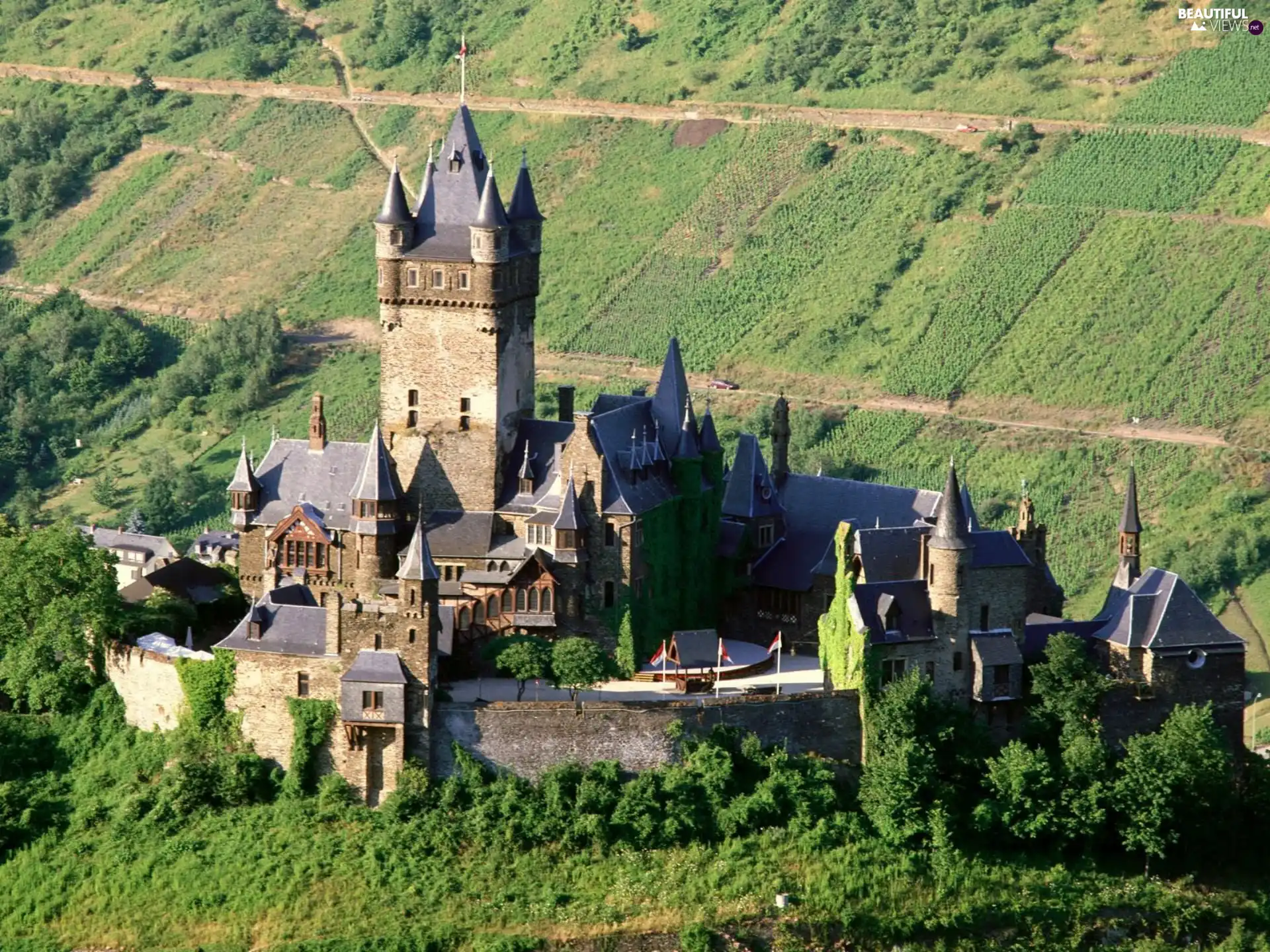 Castle, field, cultivated, medows