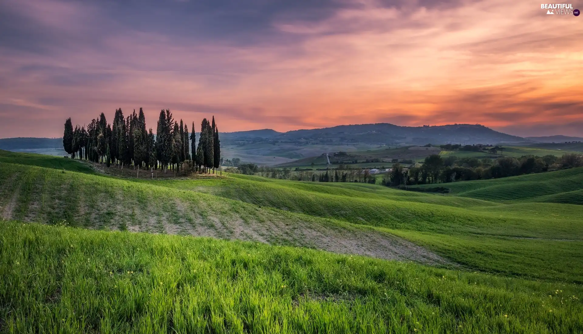 Tuscany, Italy, The Hills, green ones, viewes, Great Sunsets, cypresses, trees, field