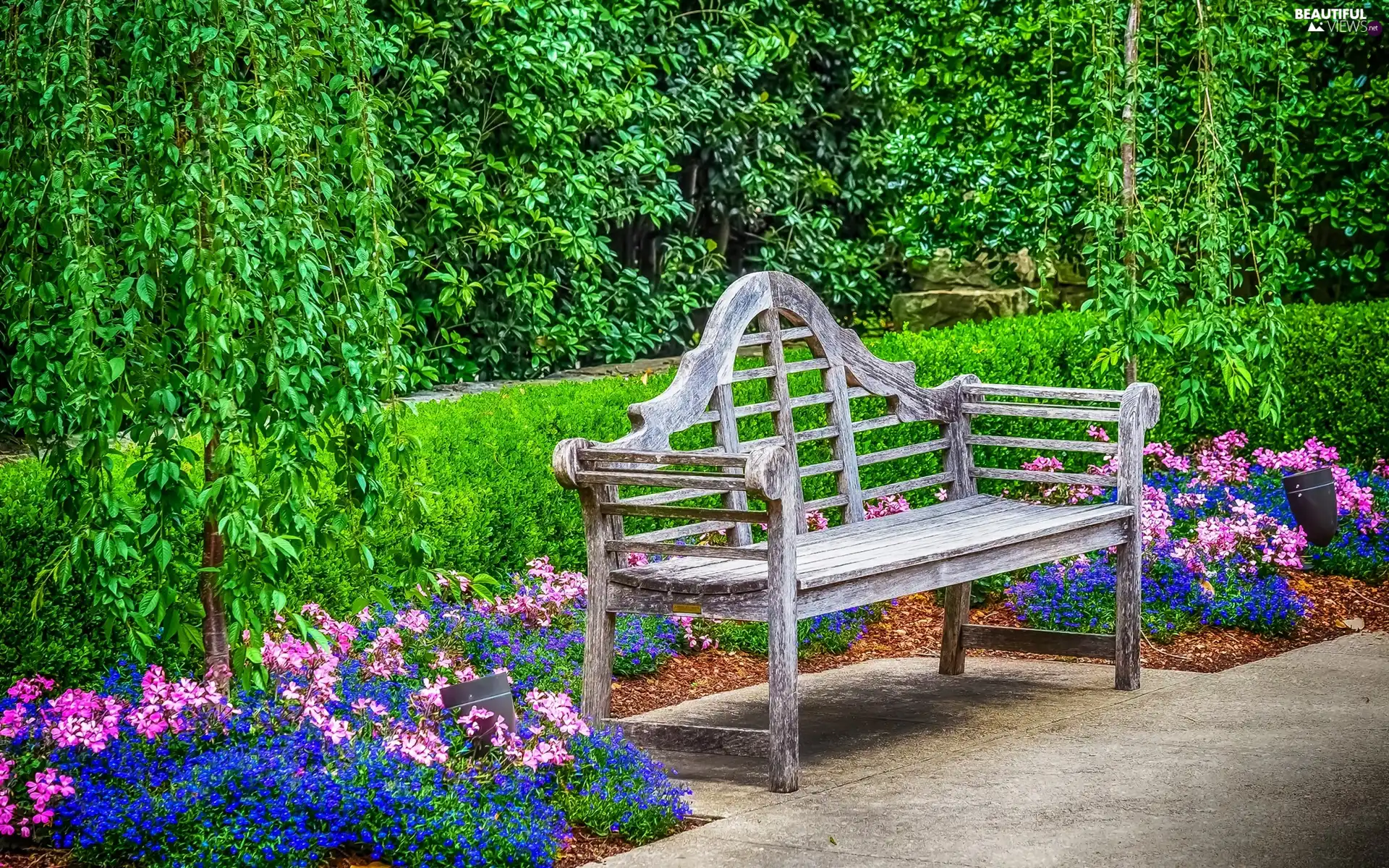 State of Texas, The United States, Dallas, Dallas Botanic Garden, Flowers, HDR, Park, Bench, Dallas Arboretum and Botanical Garden