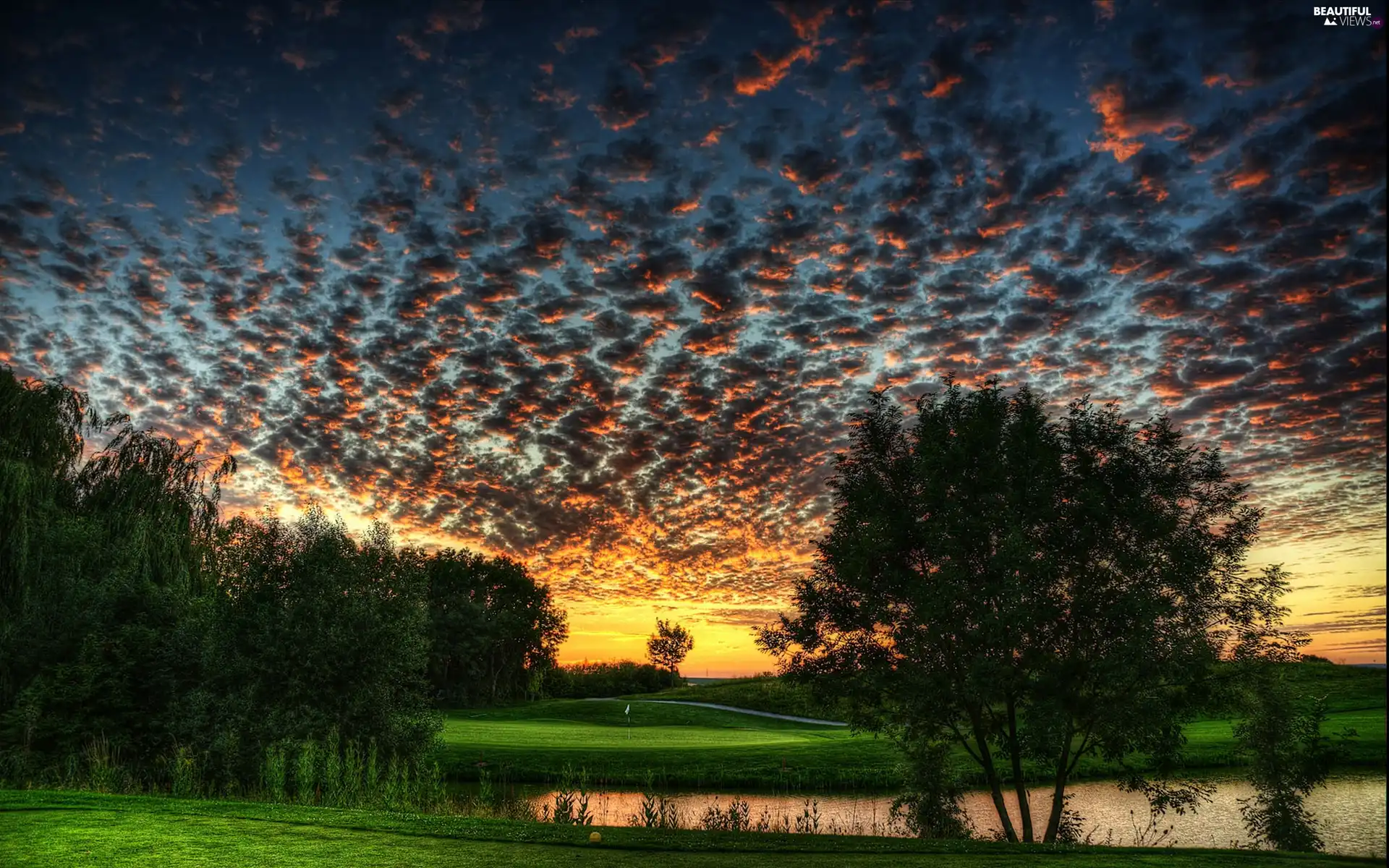 trees, lake, dark, clouds, viewes, grass