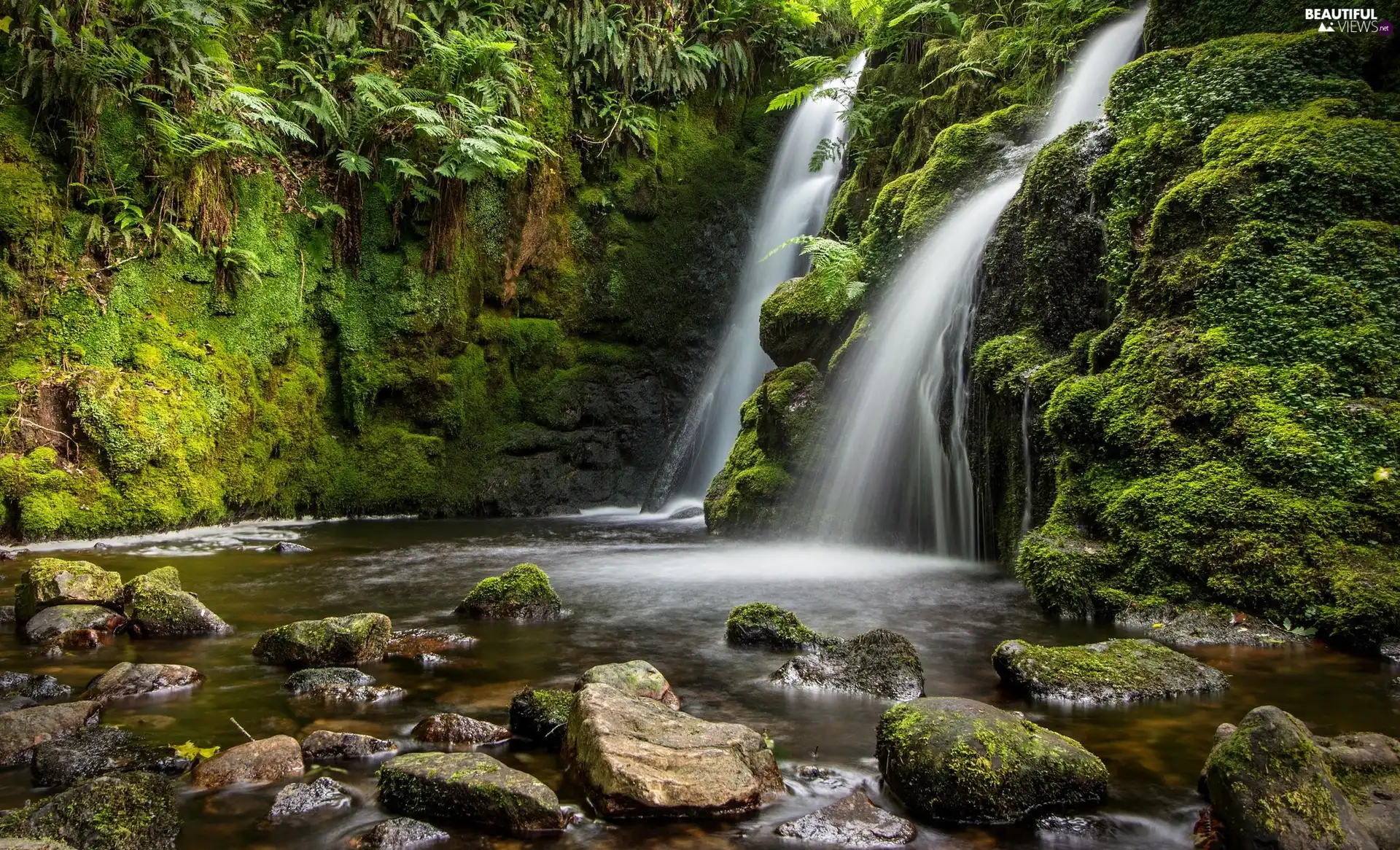 Dartmoor National Park, England, forest, Stones, waterfall, Devon County