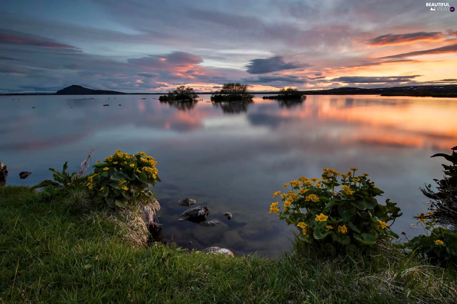 Dawn Lake Flowers Beautiful Views Wallpapers 2048x1363