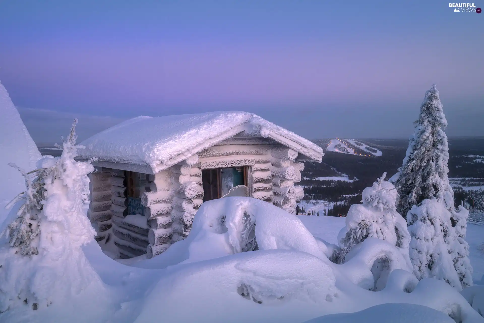 drifts, trees, morning, viewes, cottage, snow, winter, dawn