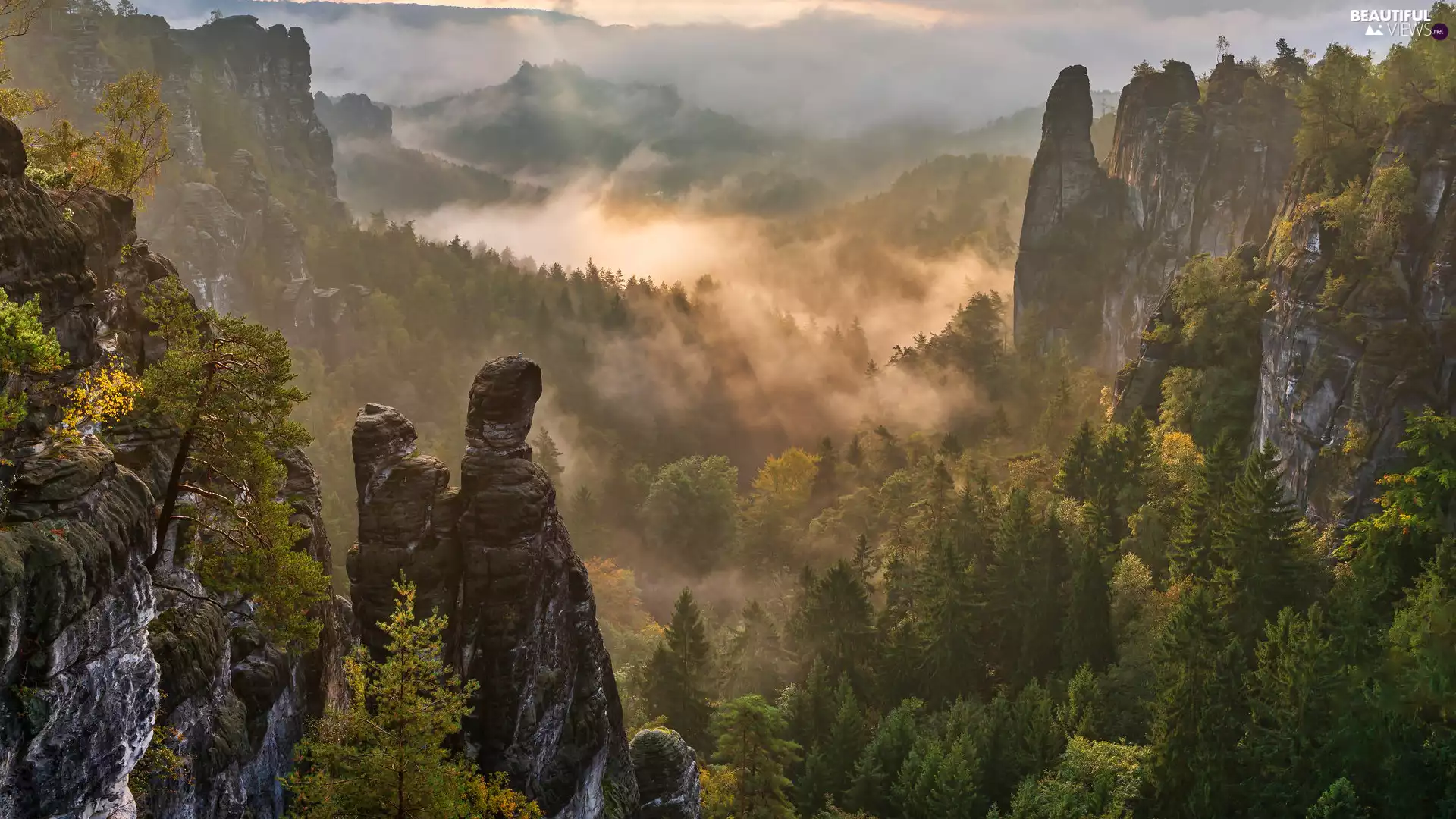 trees, viewes, Germany, Fog, Saxon Switzerland National Park, rocks, Děčínská vrchovina, Valley