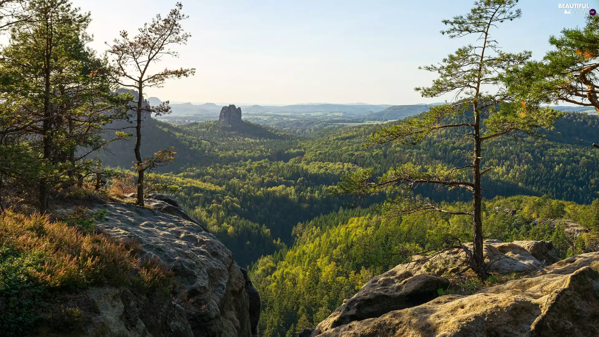 woods, Saxon Switzerland National Park, trees, Děčínská vrchovina, Germany, rocks, viewes