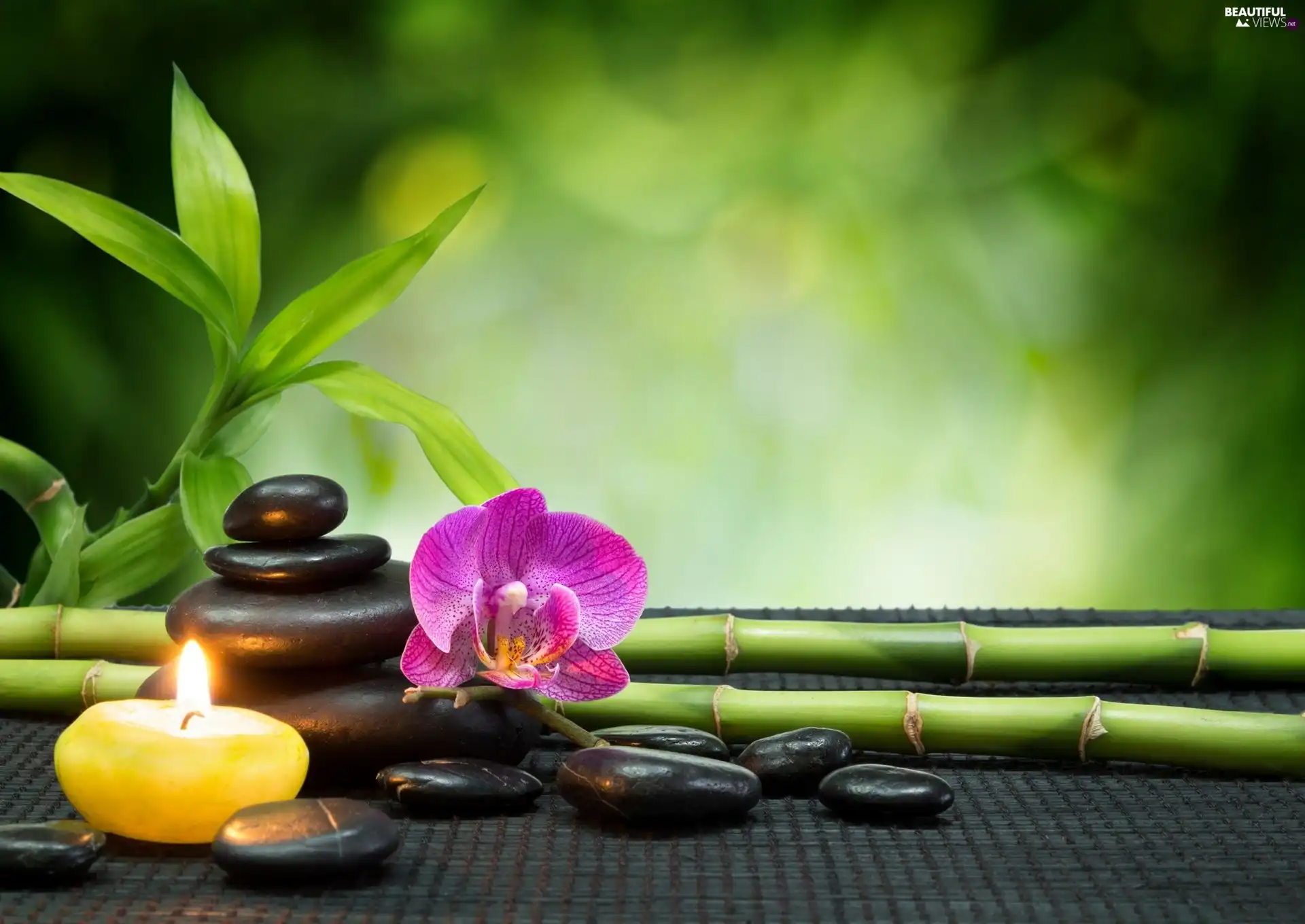 decoration, Spa, Stones, Green, bamboo