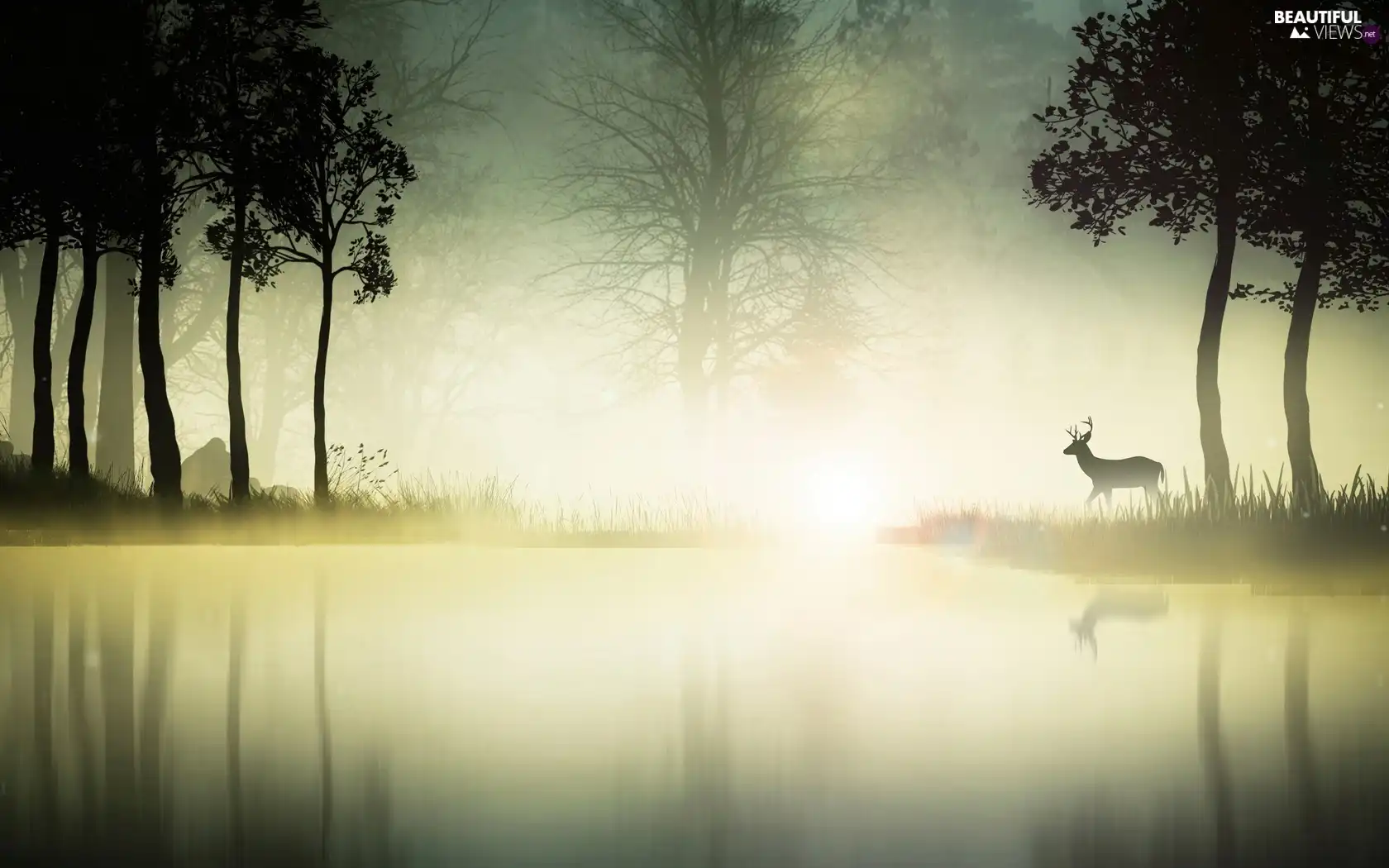 lake, forest, deer, Fog