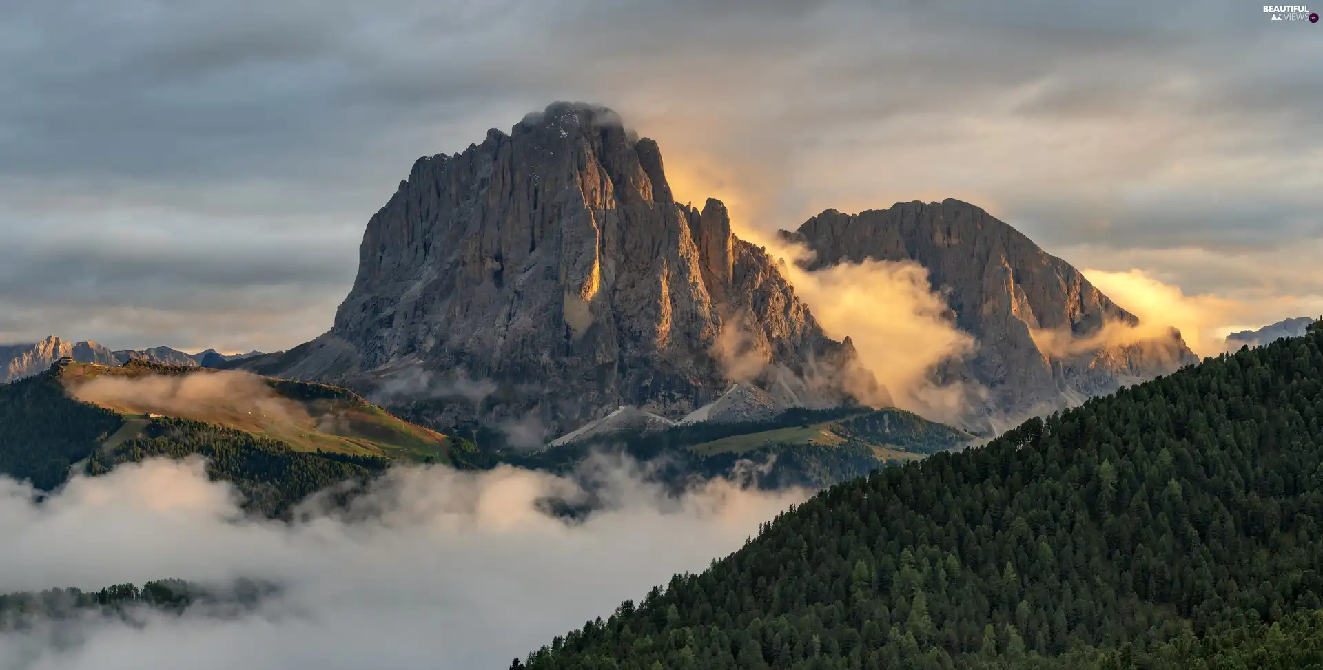 Fog, Mountains, Trentino-Alto Adige, Italy, woods, Dolomites