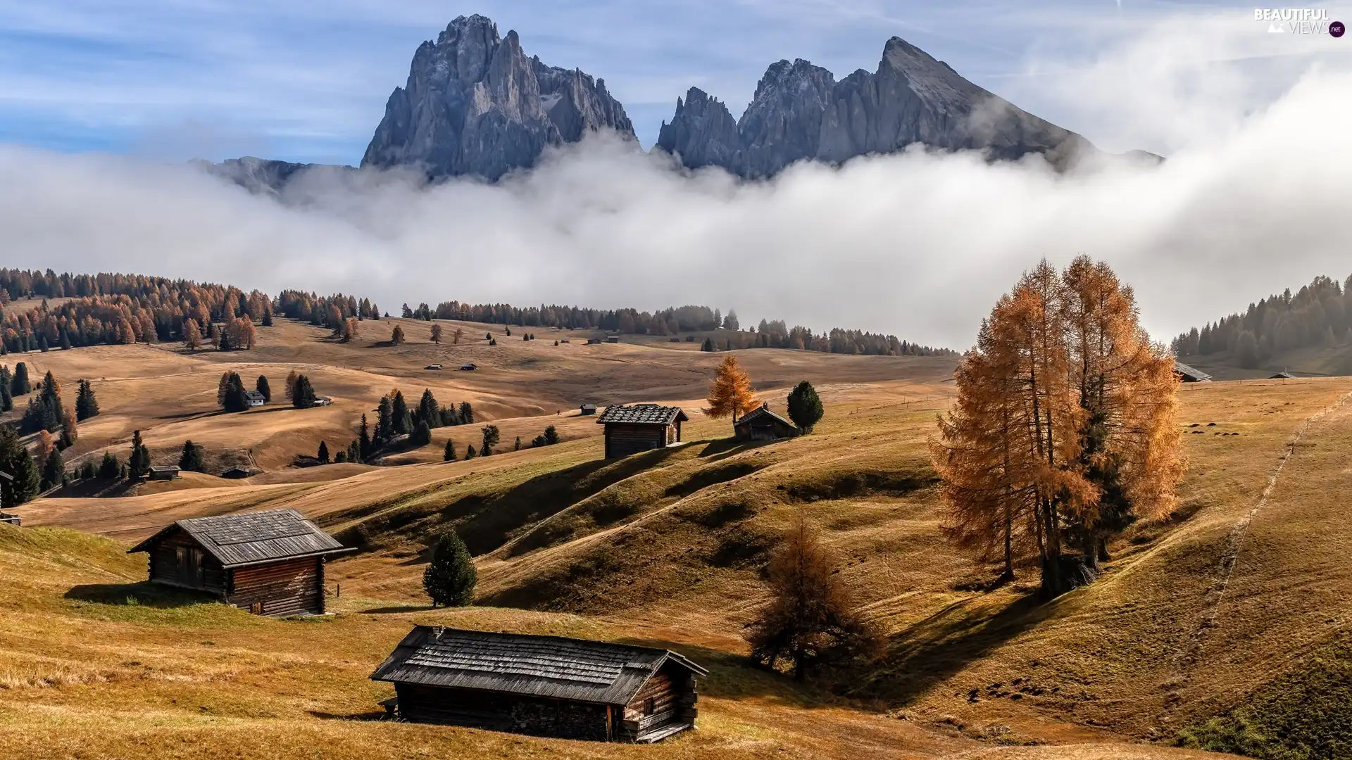 trees, Seiser Alm Meadow, Sassolungo Mountains, Fog, Dolomites, Italy, Val Gardena Valley, autumn, viewes, Houses