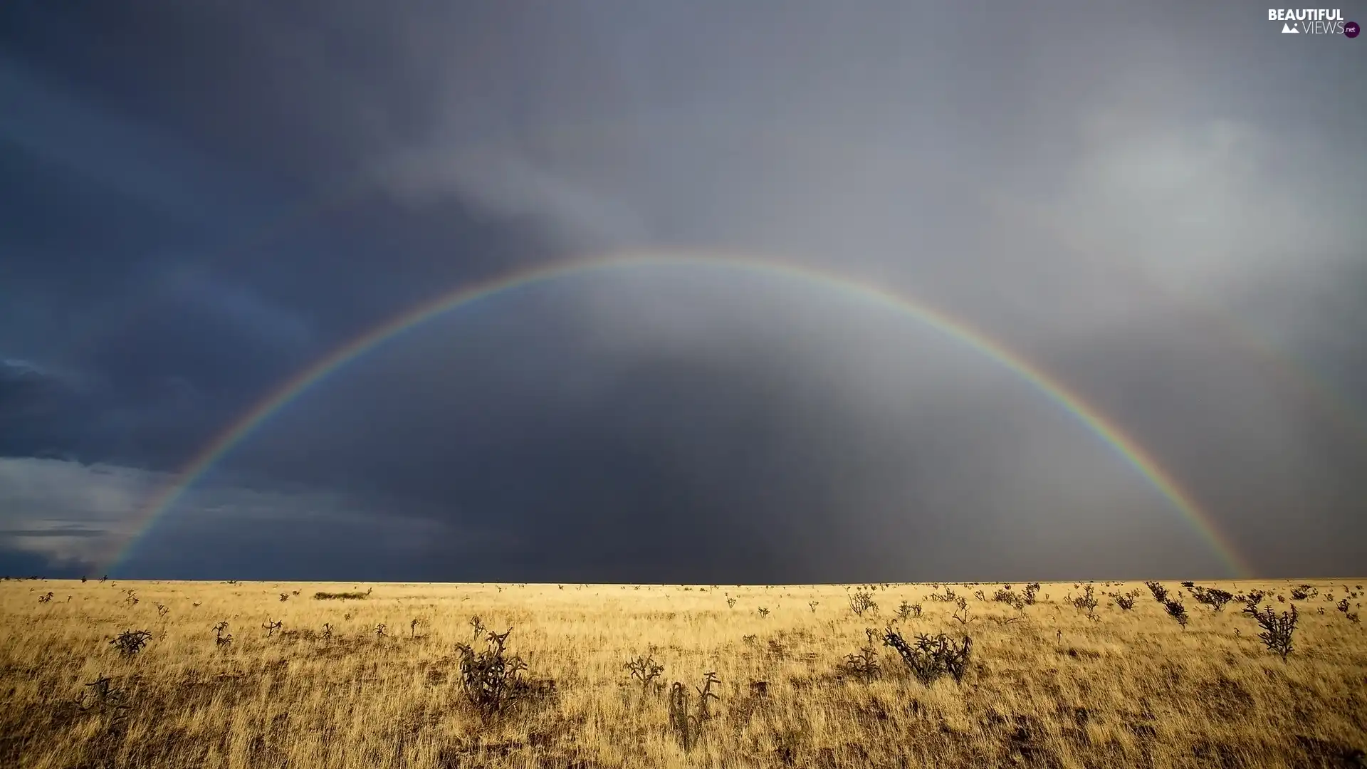 wilderness, Great Rainbows, Dried