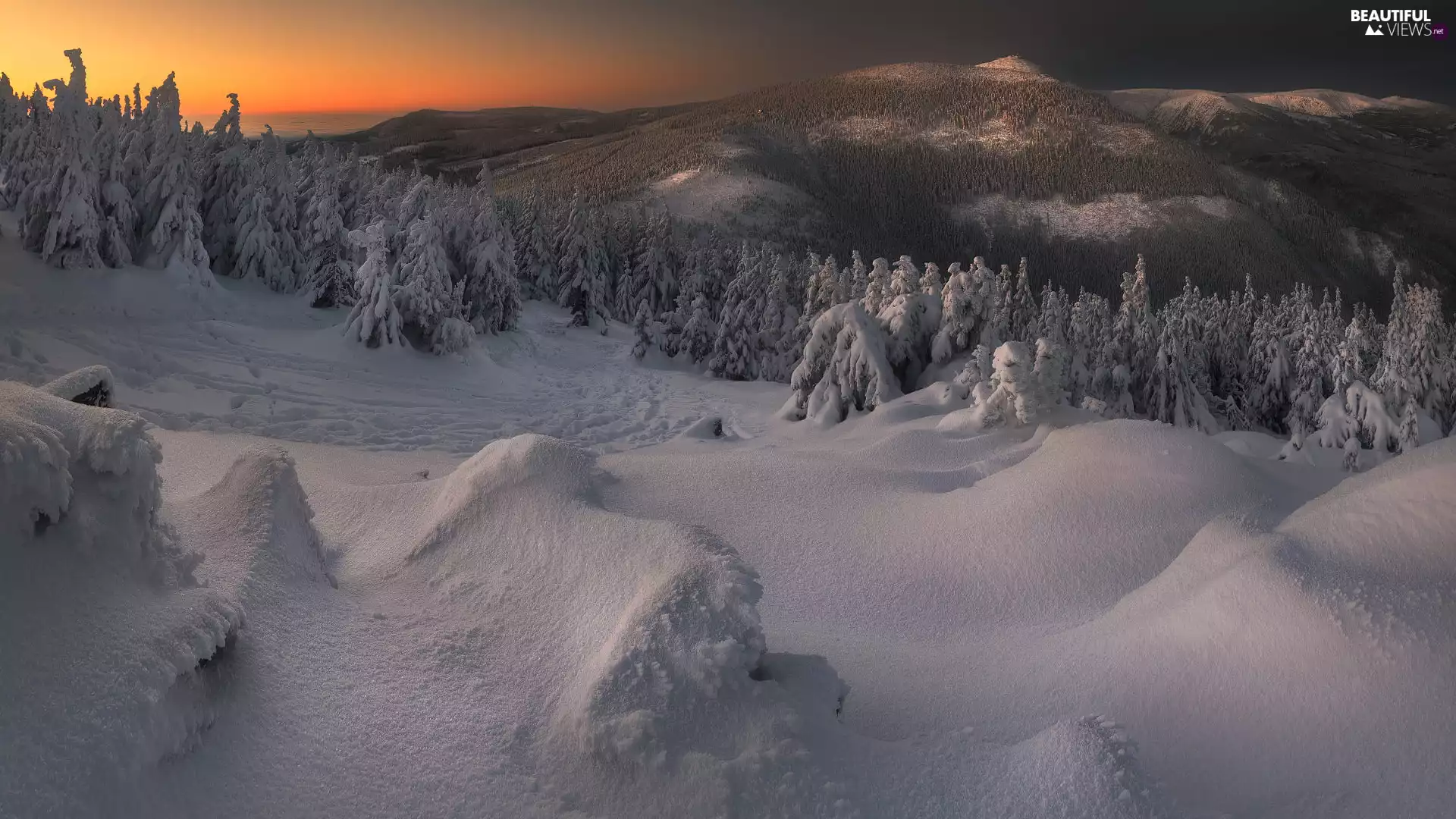drifts, winter, snow, trees, Giant Mountains, Poland, Mountains, forest, viewes