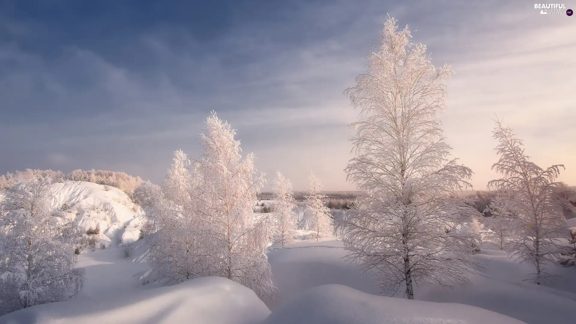 frosty, winter, viewes, drifts, trees, snow