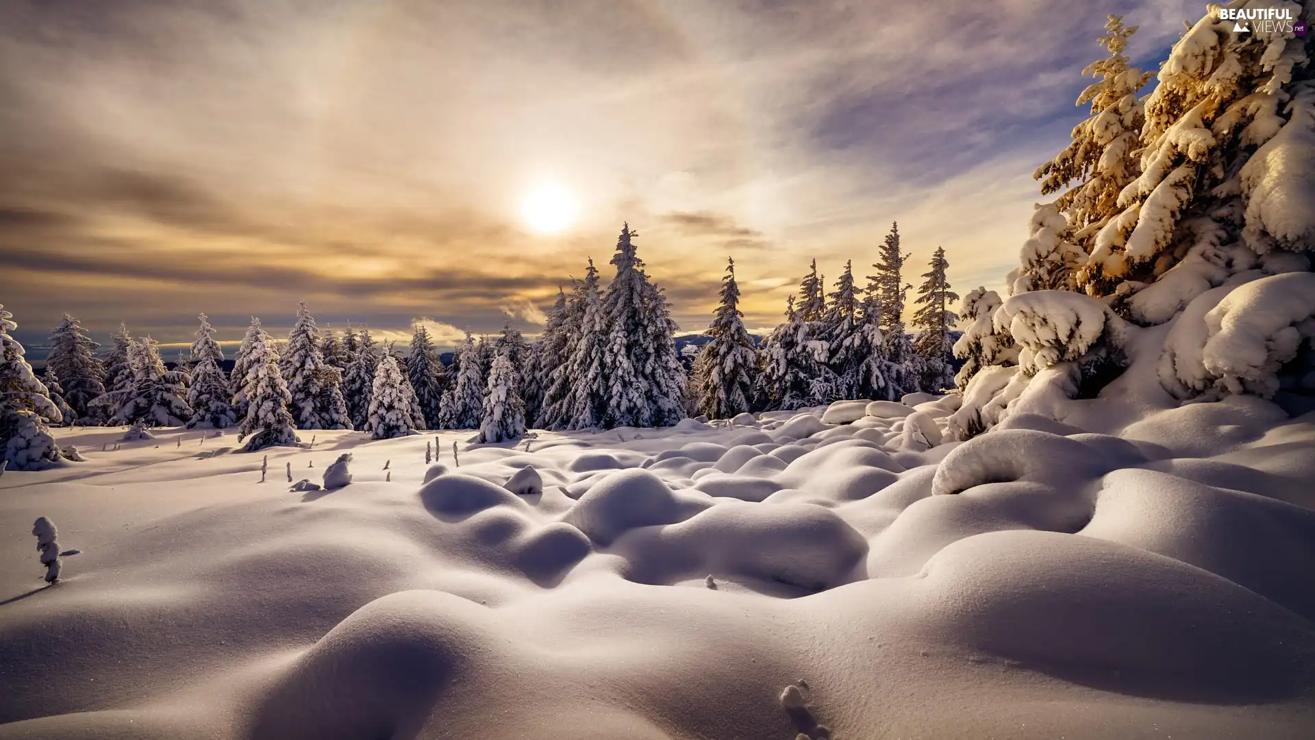 trees, winter, Sunrise, drifts, viewes, Snowy