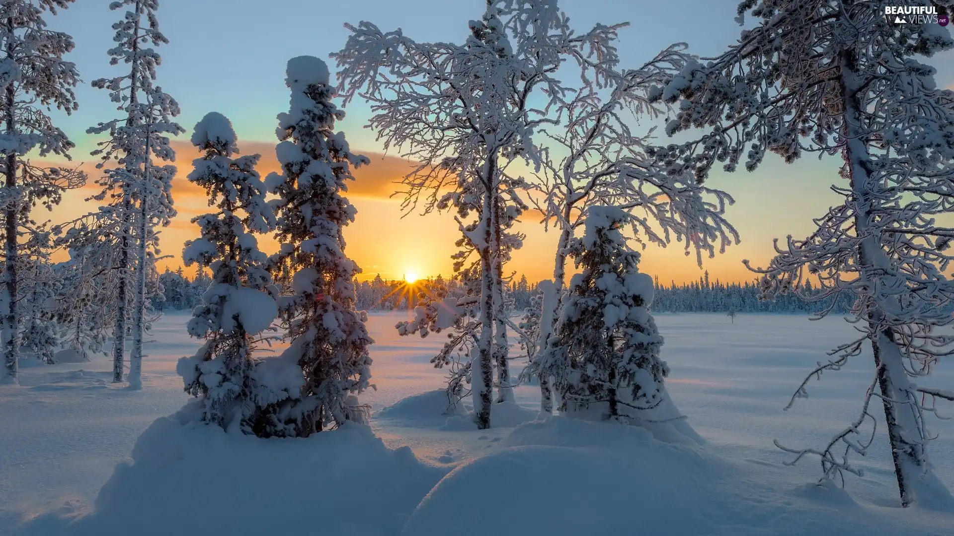 trees, Sunrise, winter, drifts, viewes, Snowy