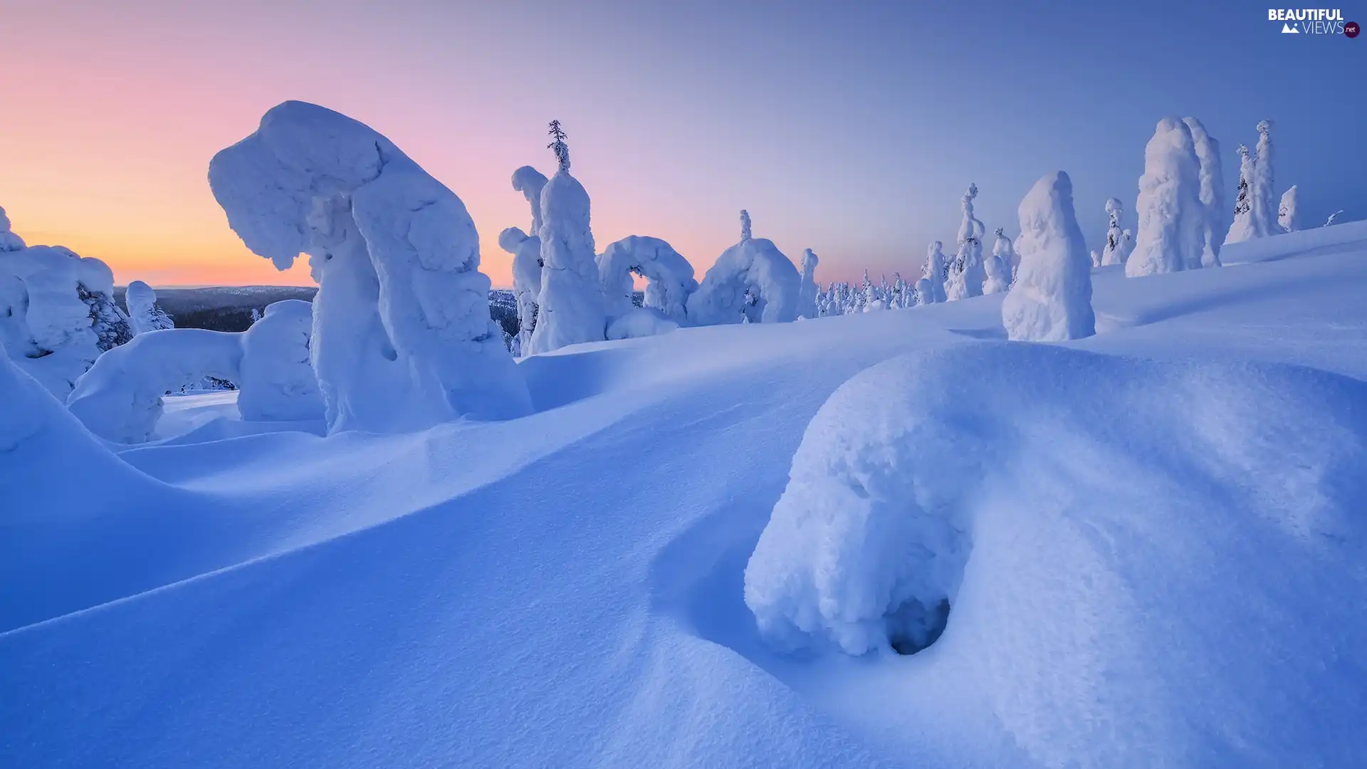 Snowy, snow, trees, drifts, winter, inclined, viewes