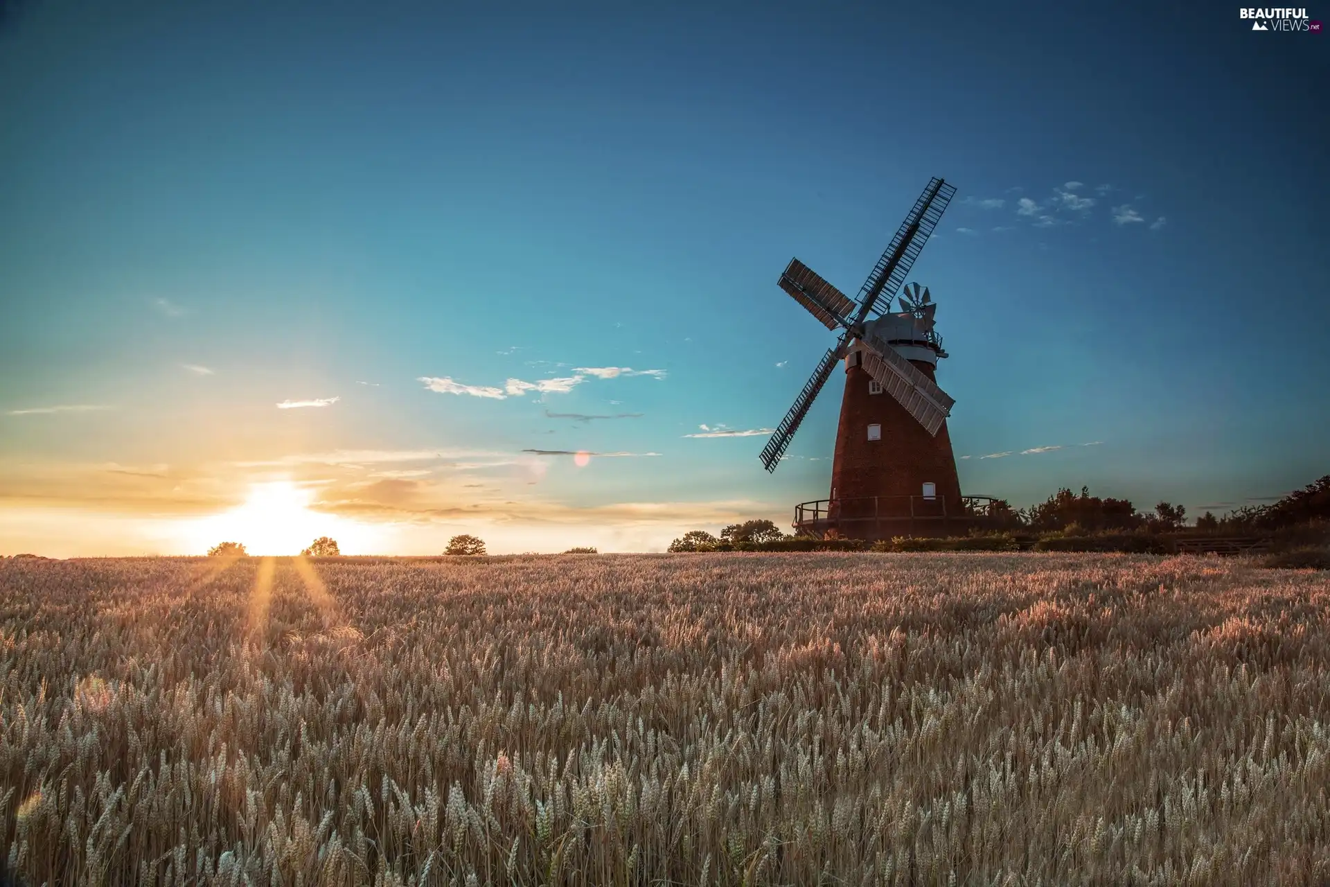 dry, grass, rays, sun, Windmill