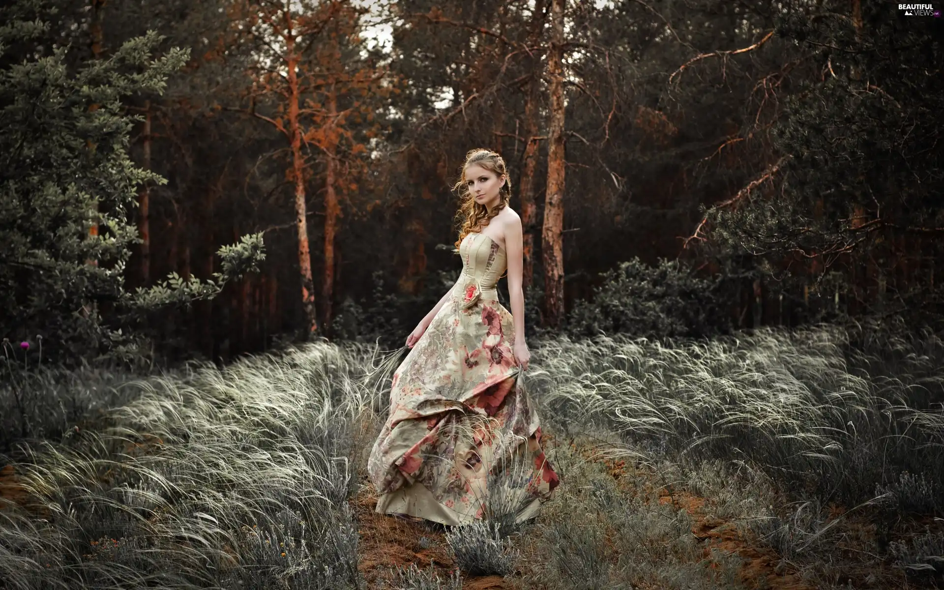 grass, car in the meadow, long, dry, forest, Women, dress