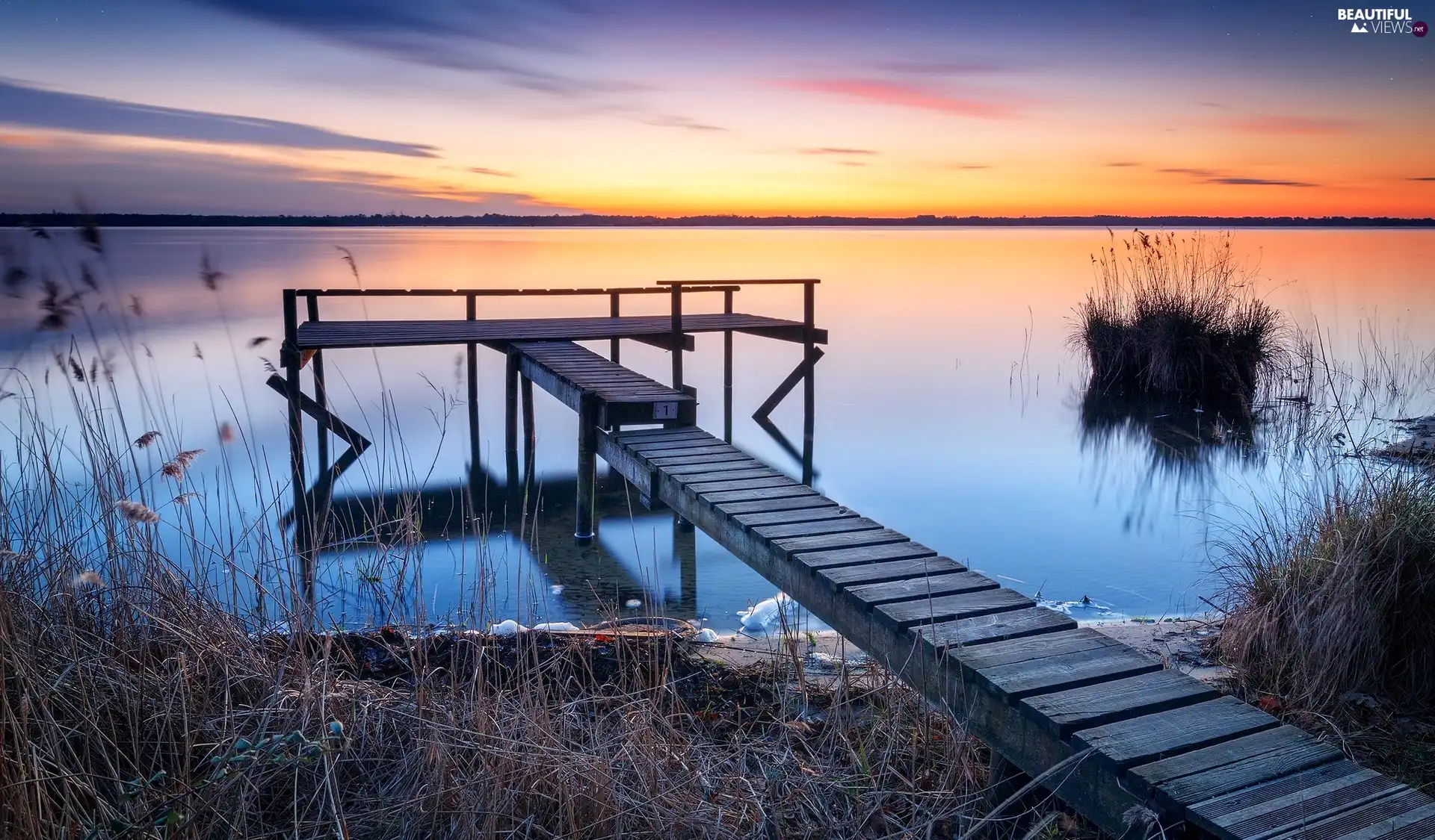 dry, grass, Lake Lac dHourtin et de Carcans, Platform, France