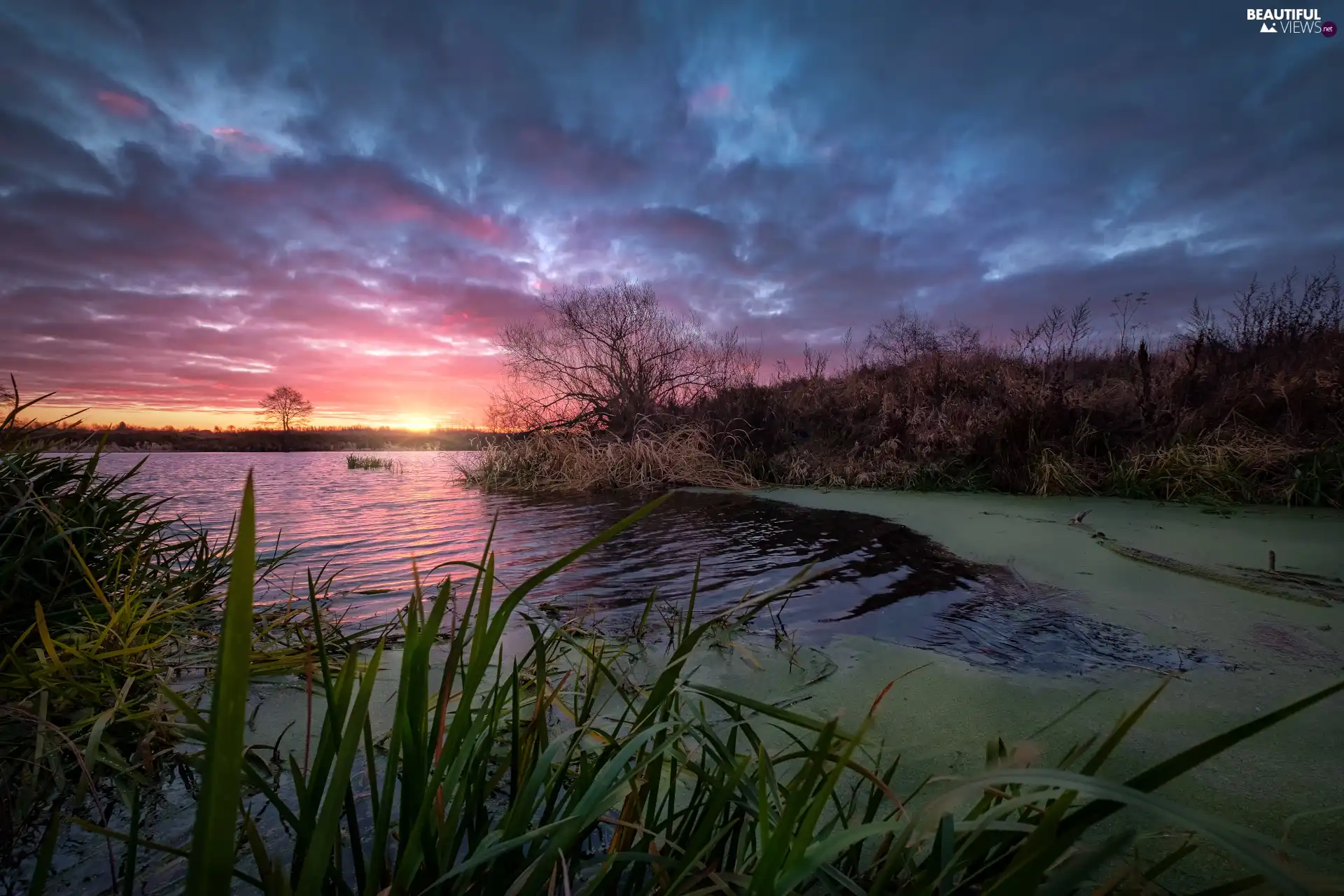 Dubna River, Sky, sun, clouds, Latgale, Latvia, rushes, Sunrise, grass