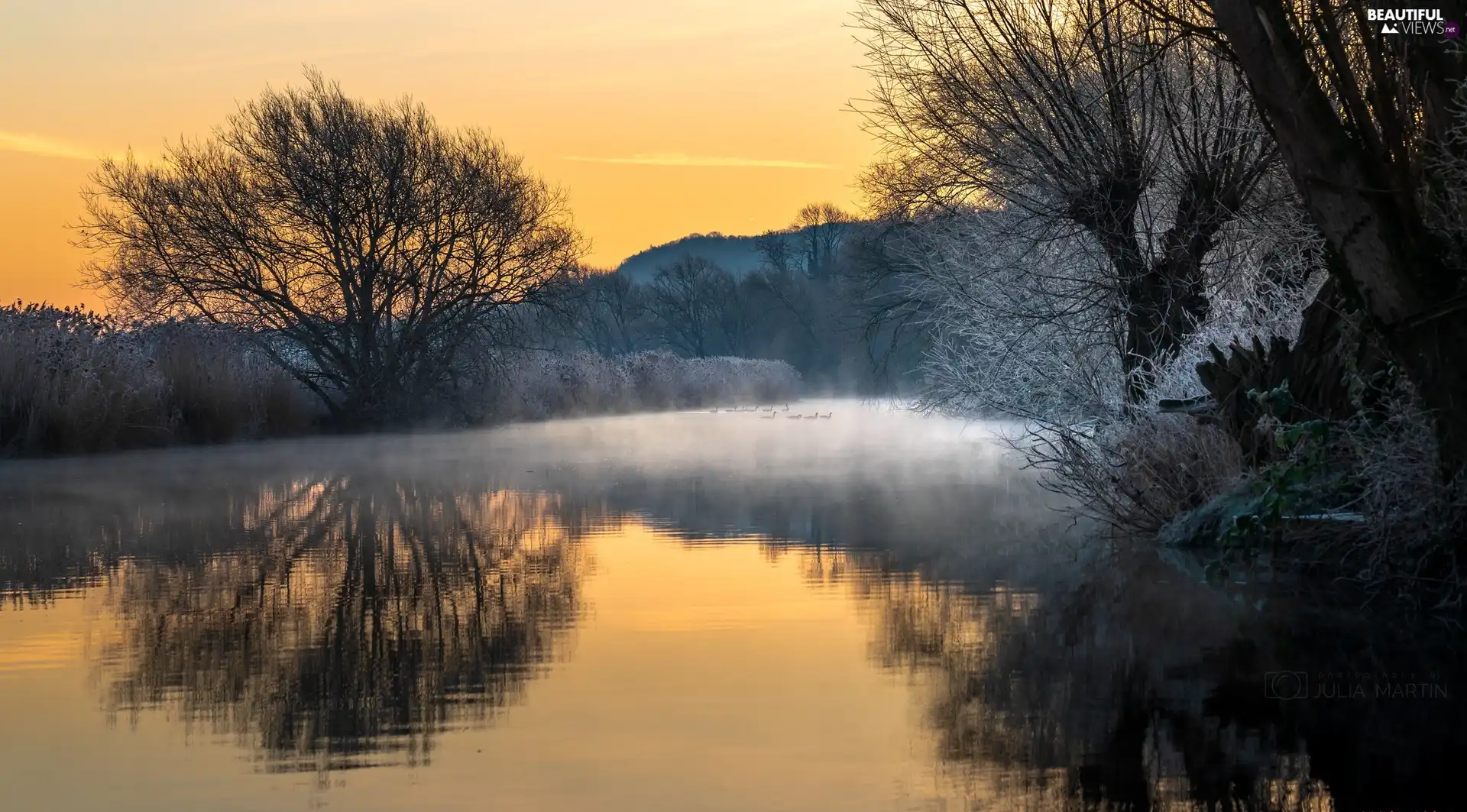 Fog Lake Trees Ducks Sunrise Frosty Viewes Beautiful Views