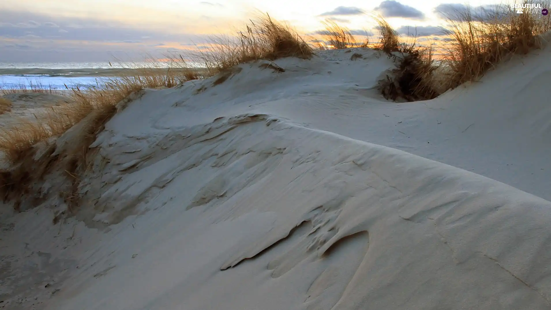 Dunes, sea, Coast