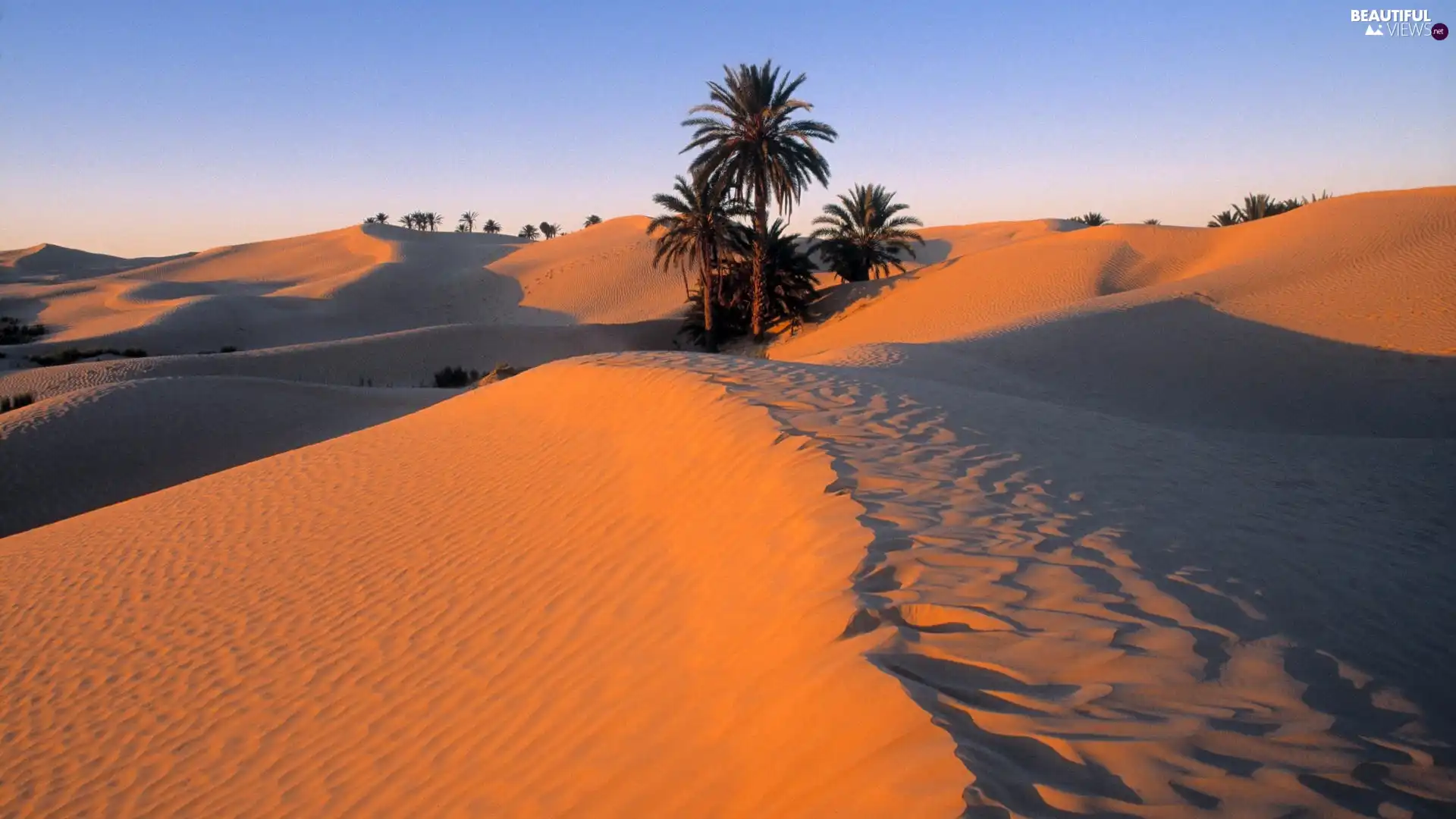 Dunes, Desert, Sand