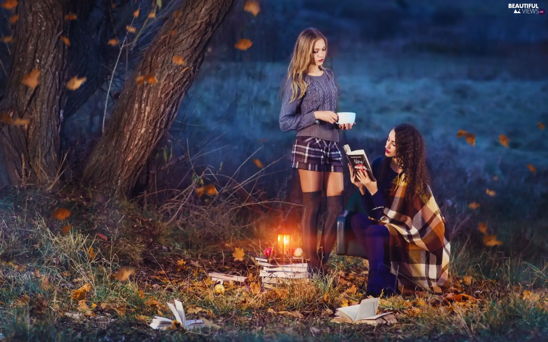 car in the meadow, forest, autumn, Leaf, Dusk, mountains, Girls, lantern