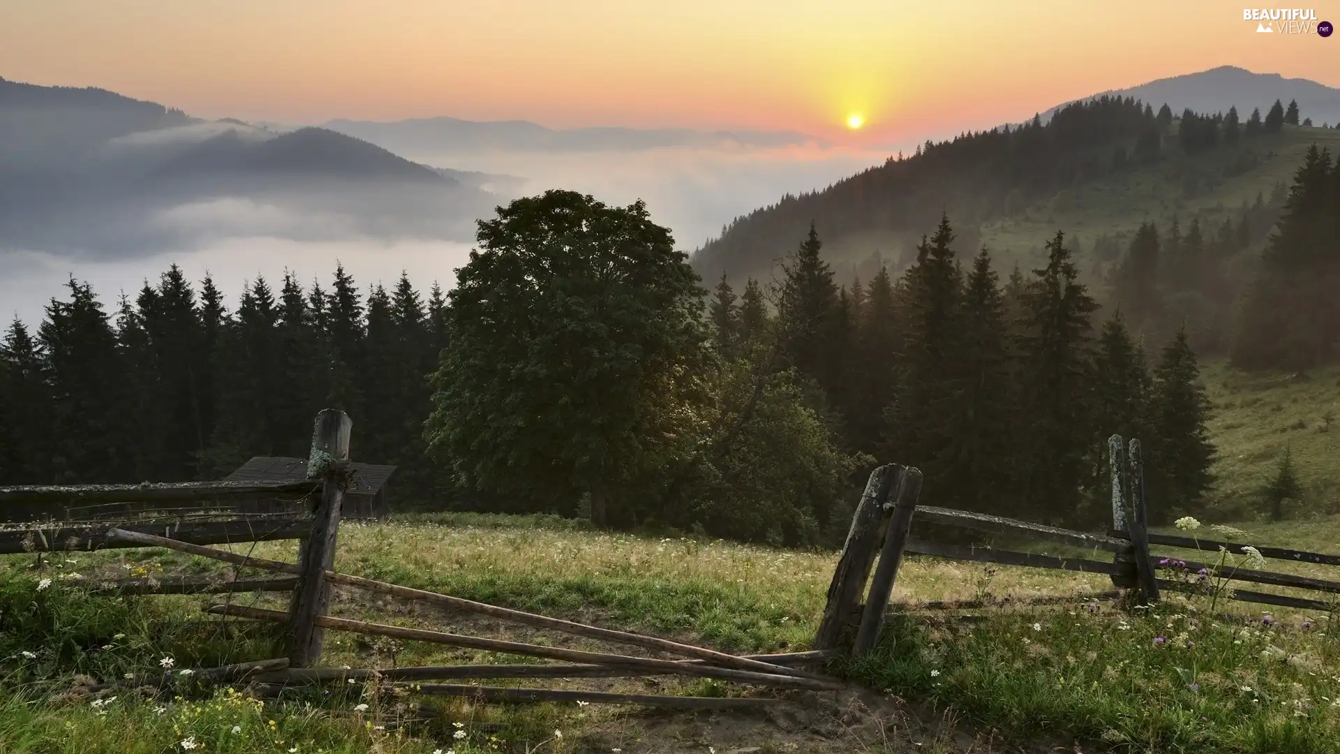 house, Mountains, east, sun, Fog, woods