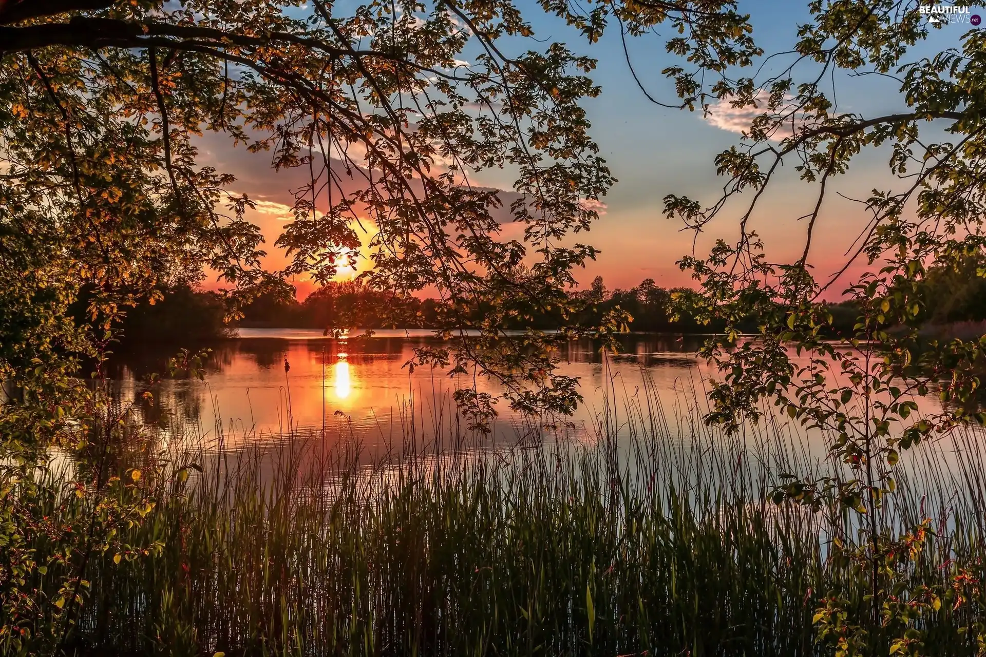 viewes, lake, east, sun, grass, trees