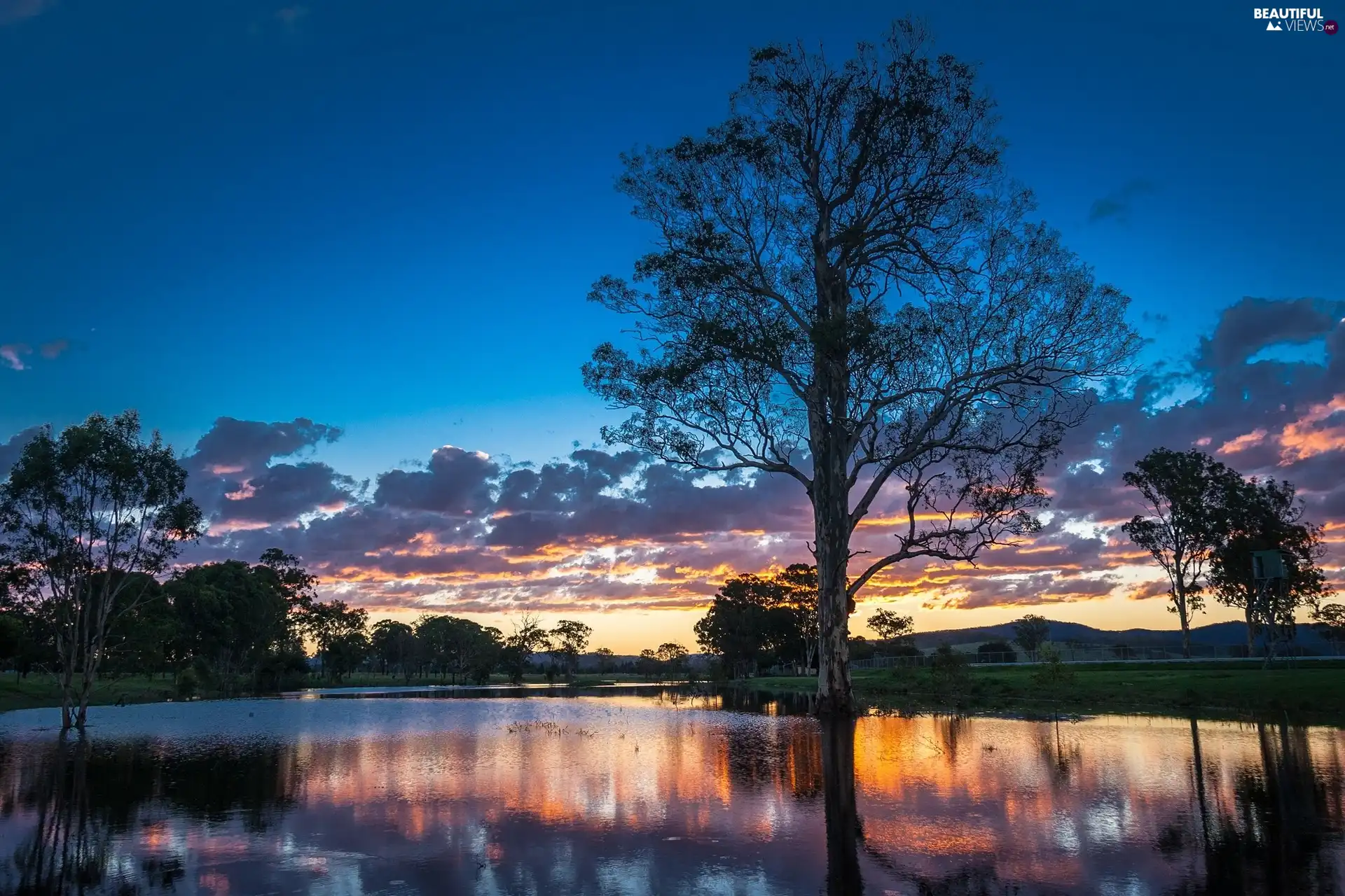 east, sun, trees, viewes, lake