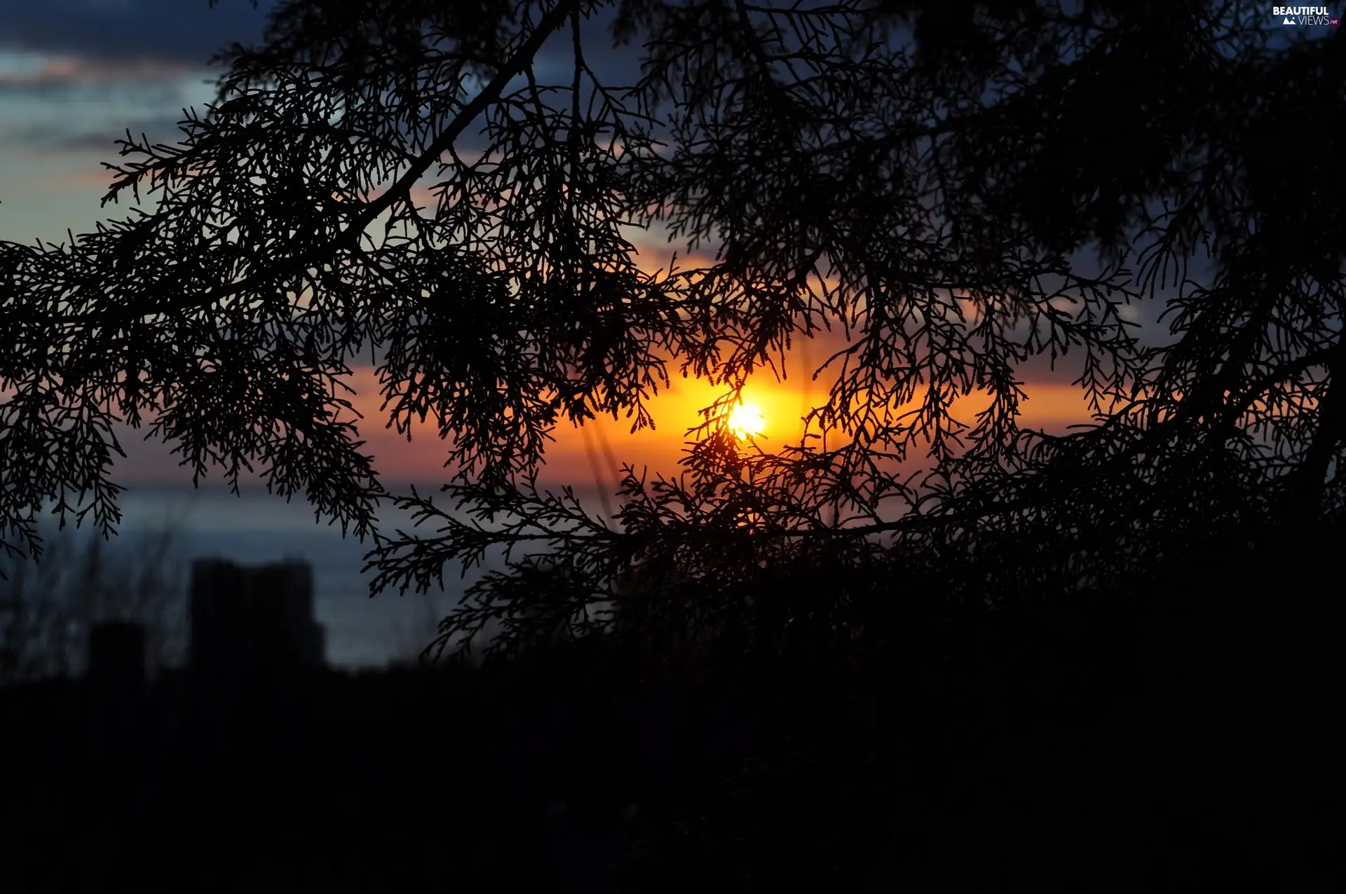 east, sun, trees, viewes, lake