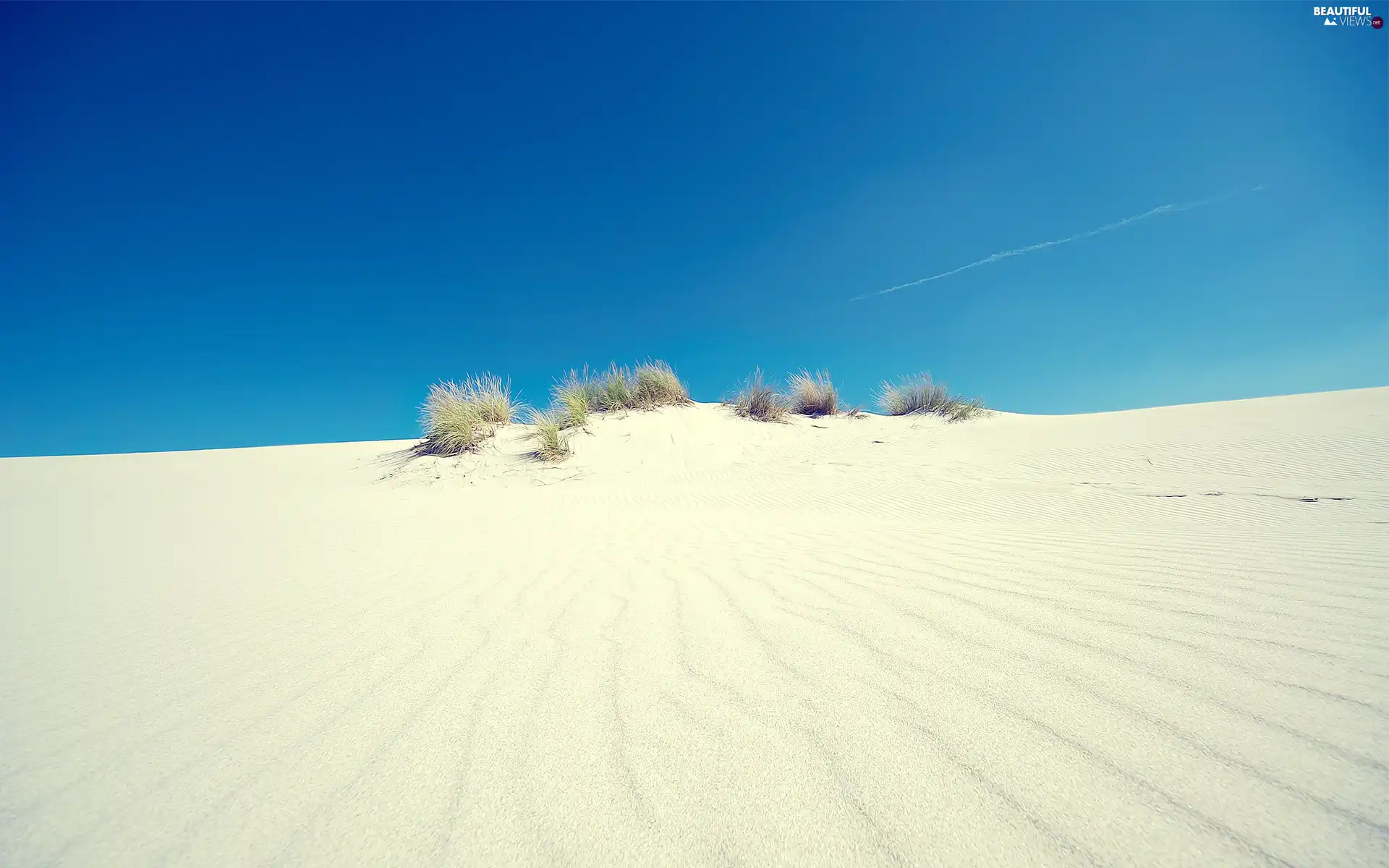 Desert, Bushes, embers, Sand
