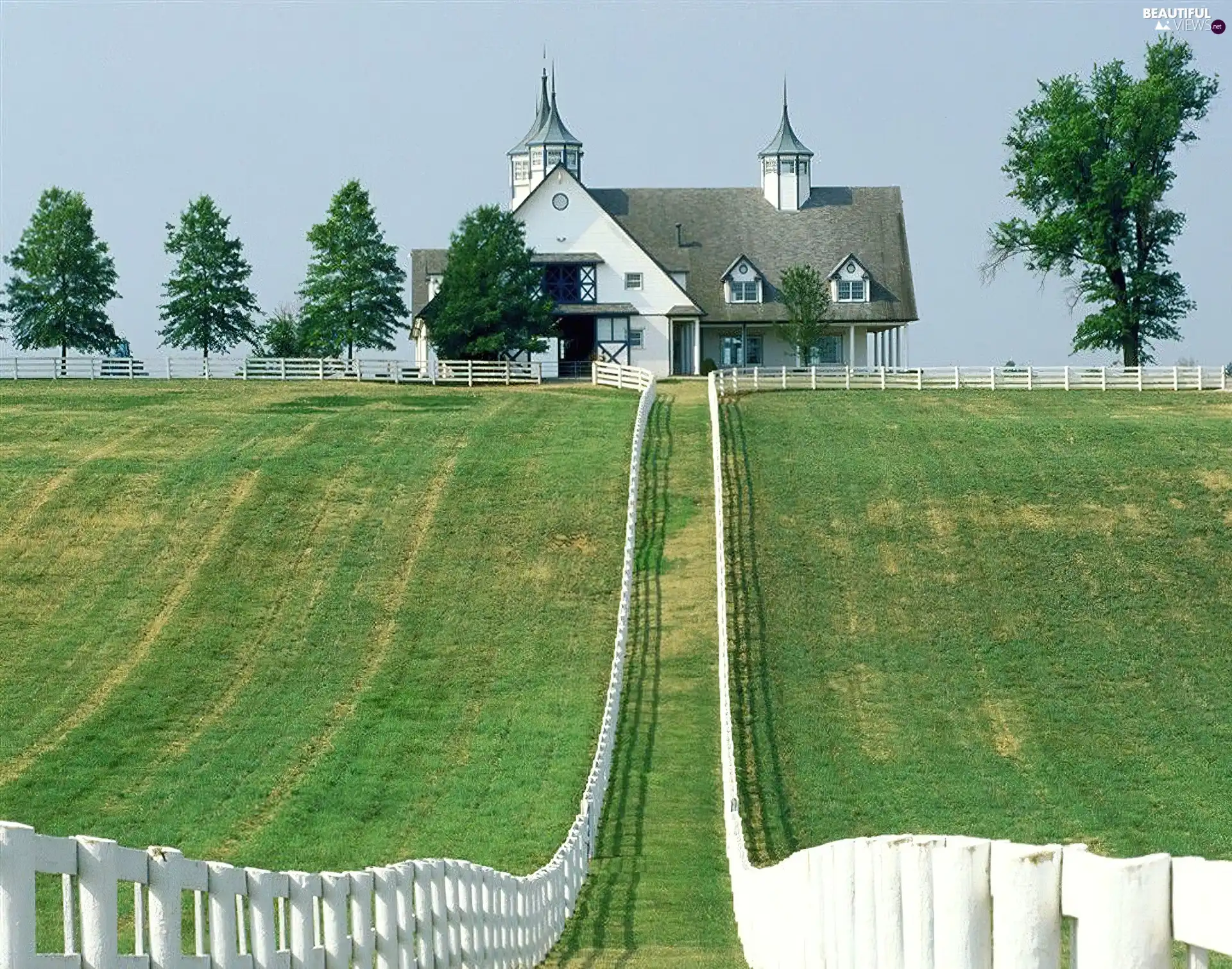field, Home, Fance, White