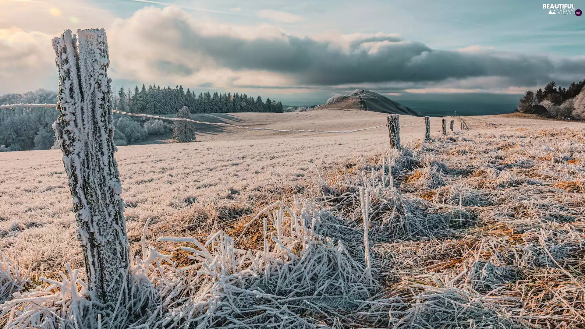 grass, Field, pile, fence, wood, frosted